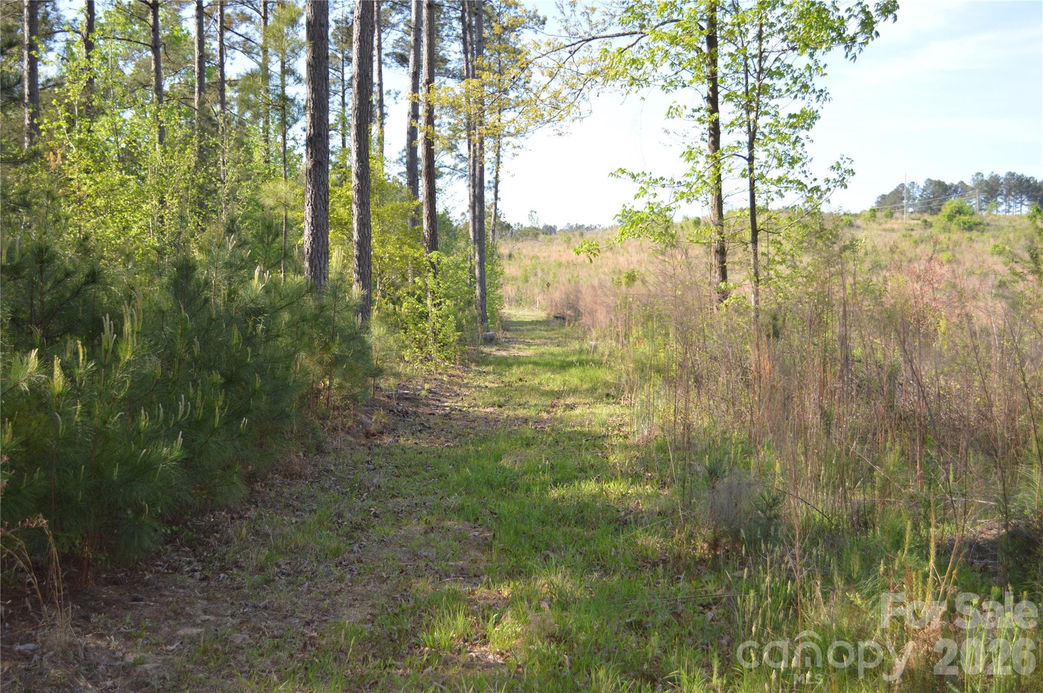 0 Peter Hawk Creek Road, Unit 10 Jonesville, SC 29353 - Photo 19 of 25