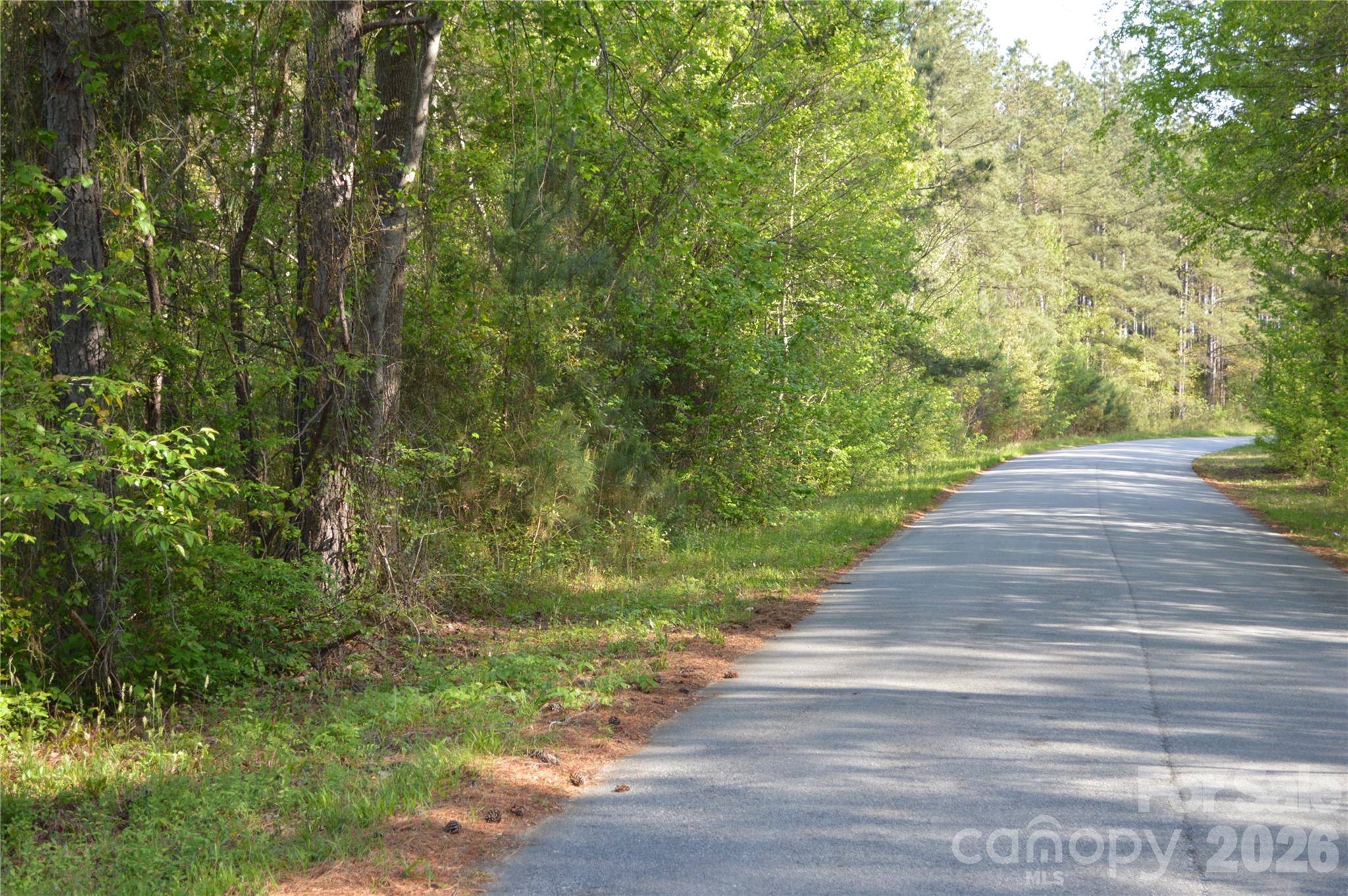0 Peter Hawk Creek Road, Unit 10 Jonesville, SC 29353 - Photo 21 of 25
