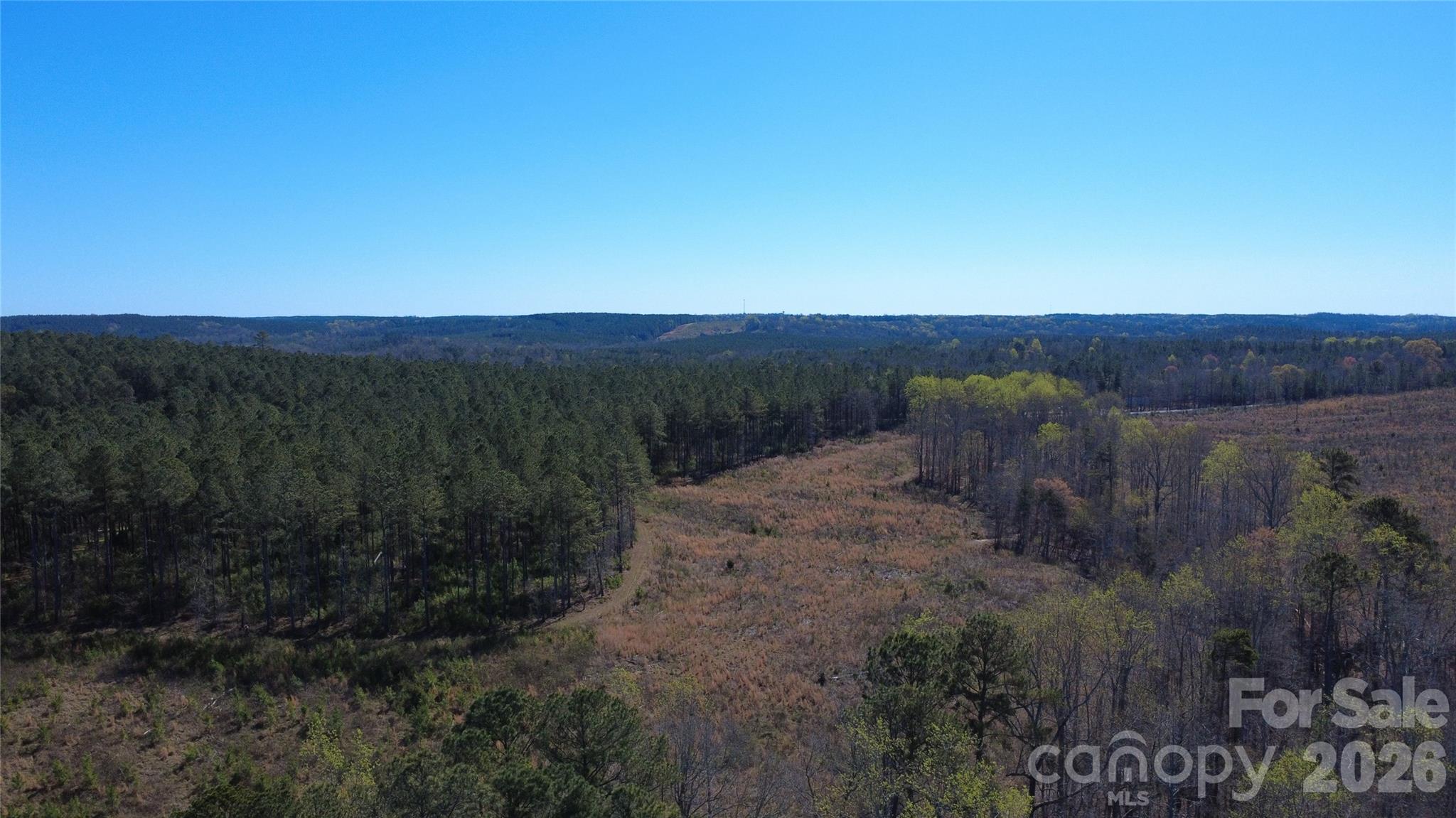 0 Peter Hawk Creek Road, Unit 10 Jonesville, SC 29353 - Photo 22 of 25 a view of a dry yard with green space