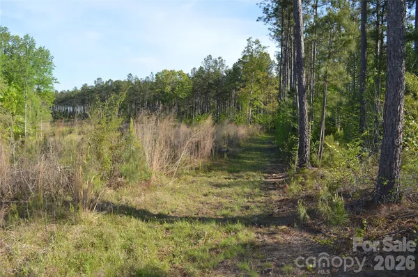 $125,000 | 0 Peter Hawk Creek Road, Unit 10, Jonesville, SC 29353