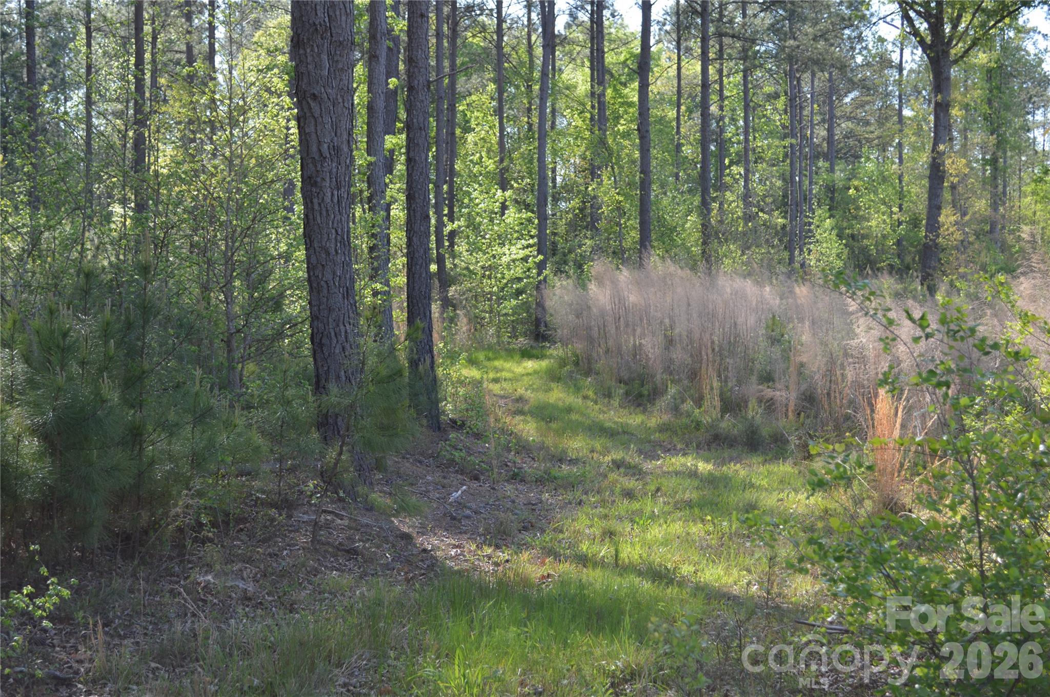 0 Peter Hawk Creek Road, Unit 10 Jonesville, SC 29353 - Photo 6 of 25