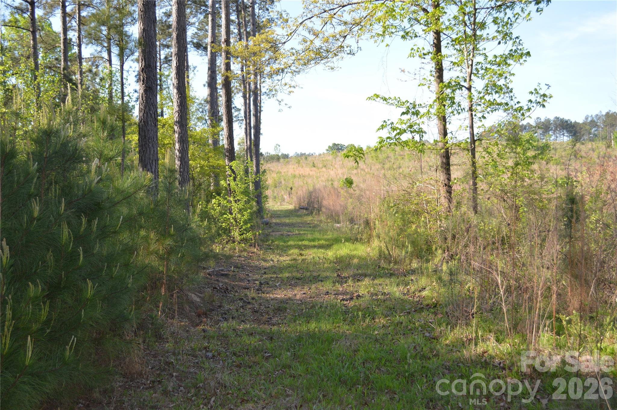 0 Peter Hawk Creek Road, Unit 10 Jonesville, SC 29353 - Photo 7 of 25 a yard with lots of green space and trees