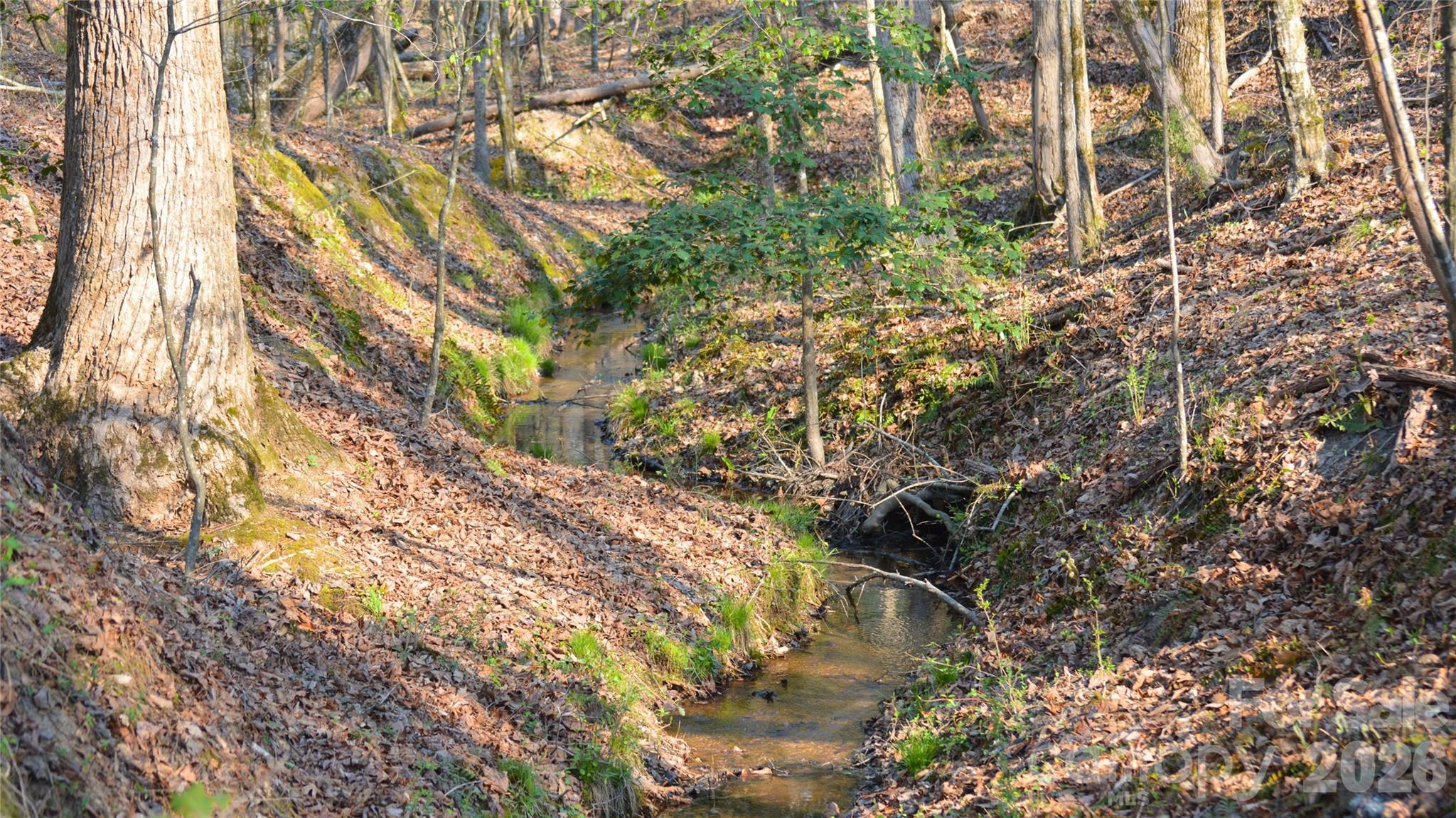 0 Peter Hawk Creek Road, Unit 10 Jonesville, SC 29353 - Photo 7 of 25