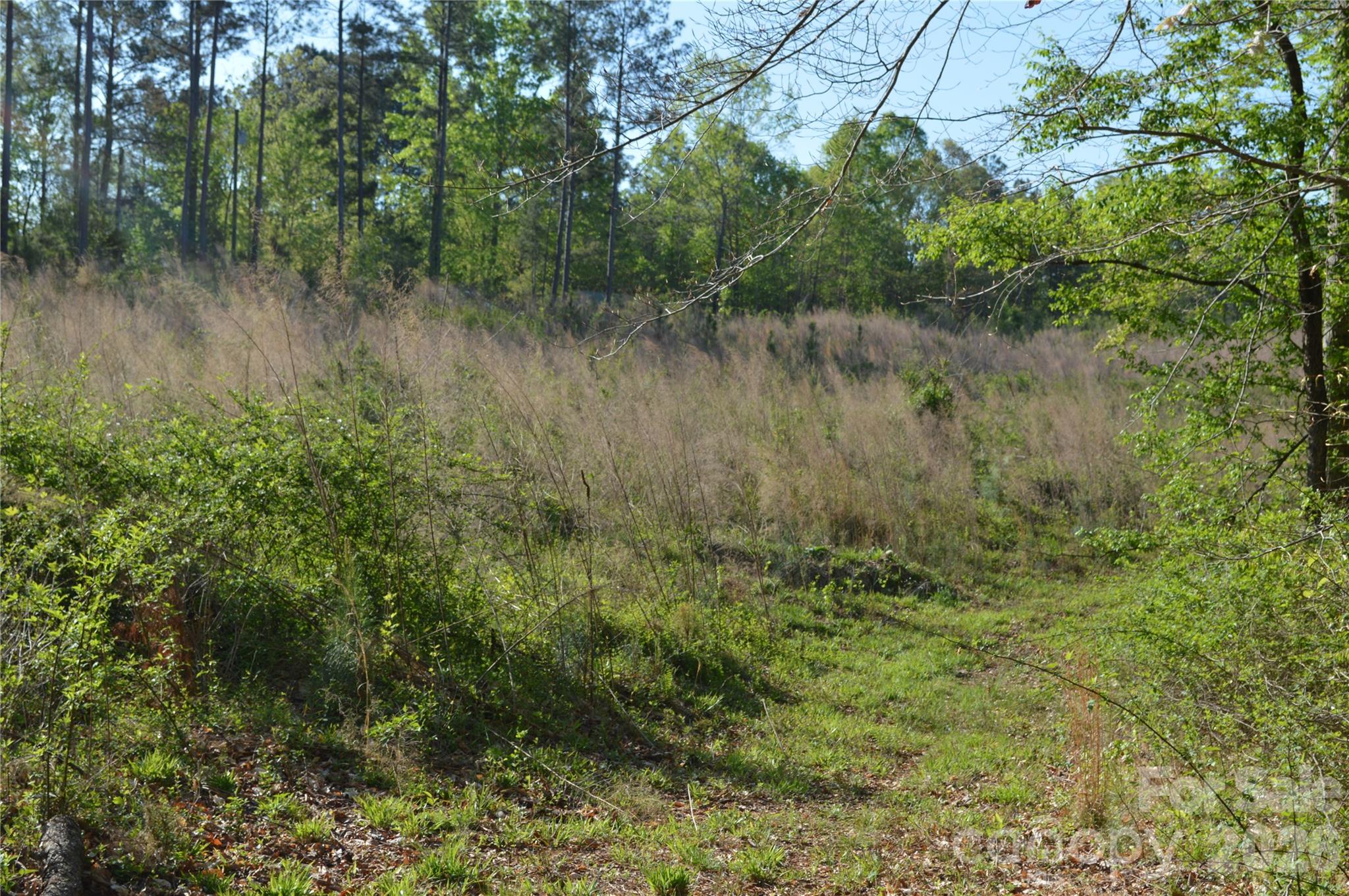 0 Peter Hawk Creek Road, Unit 10 Jonesville, SC 29353 - Photo 8 of 25 a view of a lake with top of house