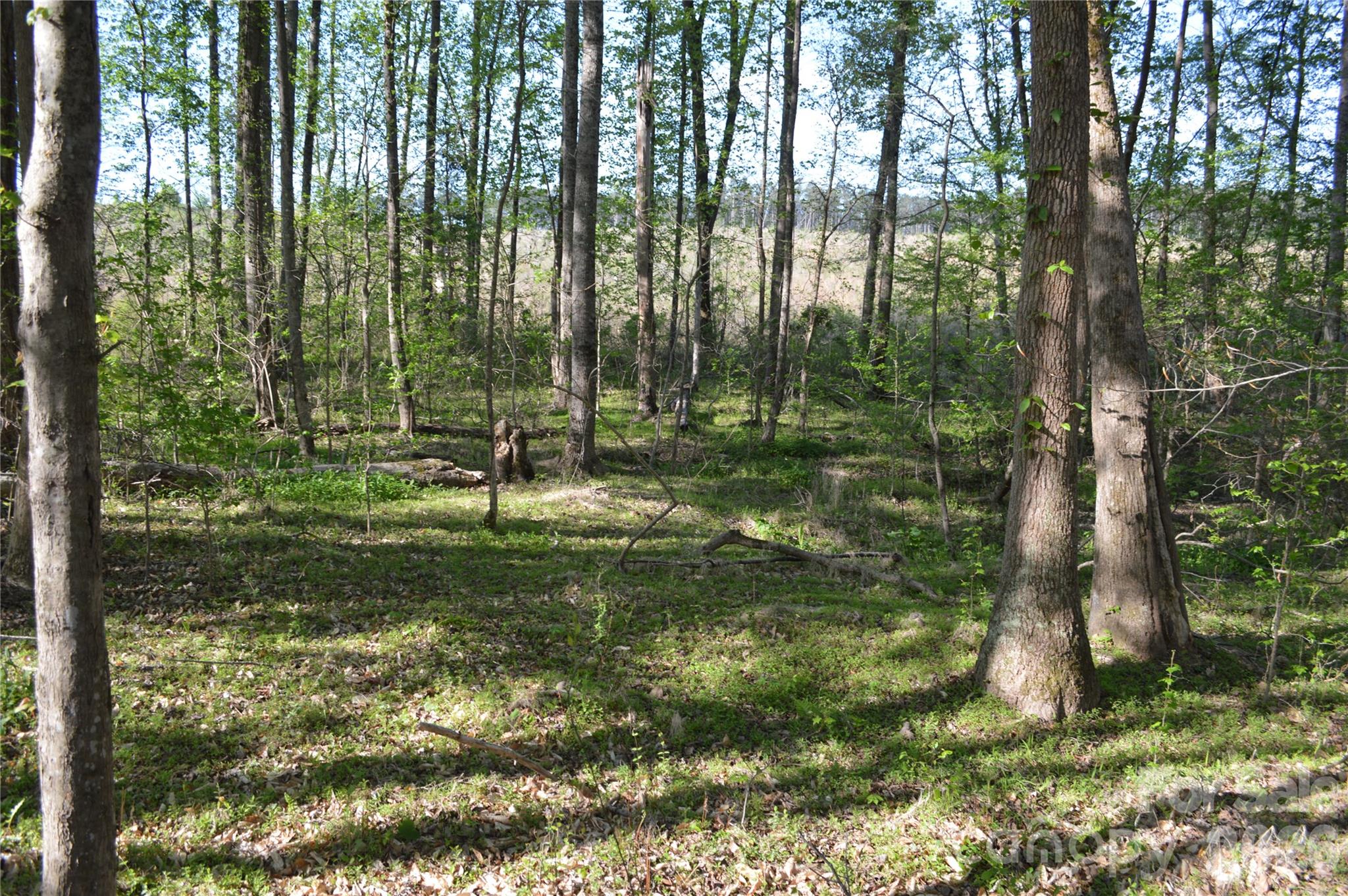 0 Peter Hawk Creek Road, Unit 10 Jonesville, SC 29353 - Photo 9 of 25 a backyard of a house with lots of green space
