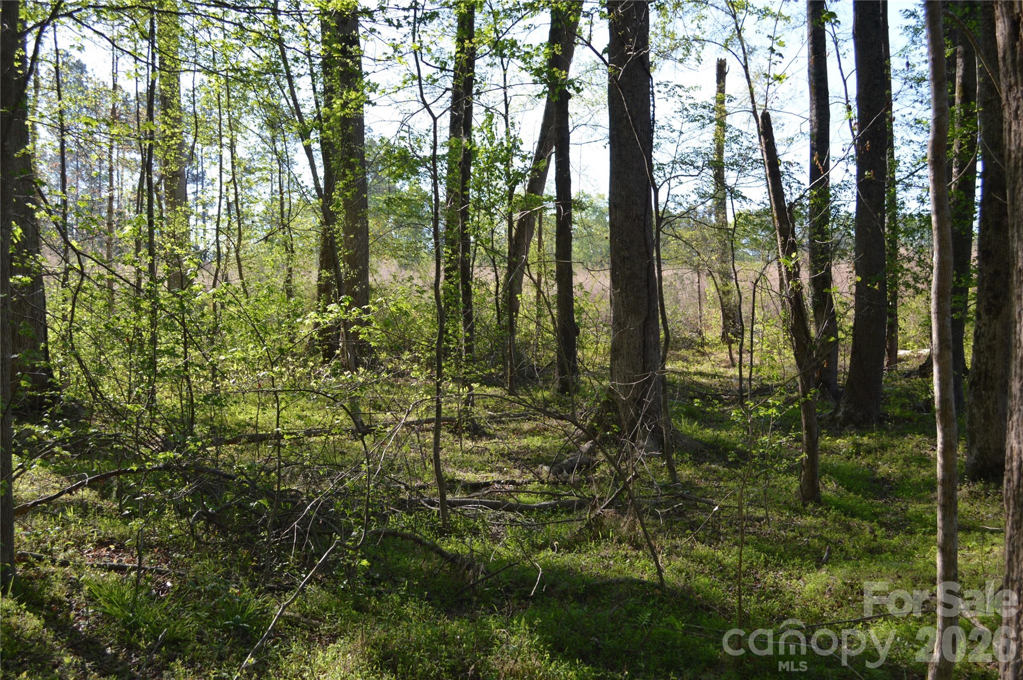 0 Peter Hawk Creek Road, Unit 10 Jonesville, SC 29353 - Photo 10 of 25 a view of outdoor space and trees