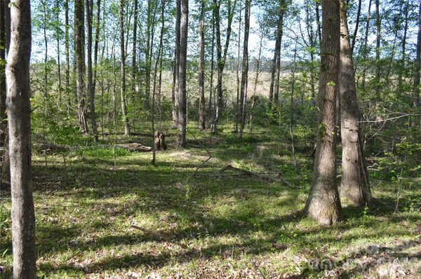 $125,000 | 0 Peter Hawk Creek Road, Unit 10, Jonesville, SC 29353