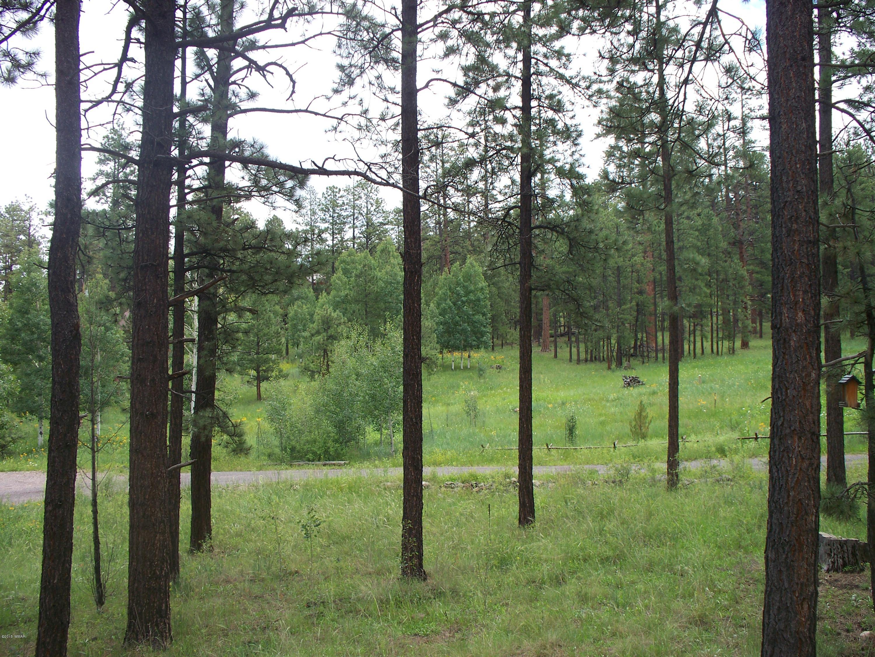 Lot 2 County Road Greer, AZ 85927 - Photo 13 of 13