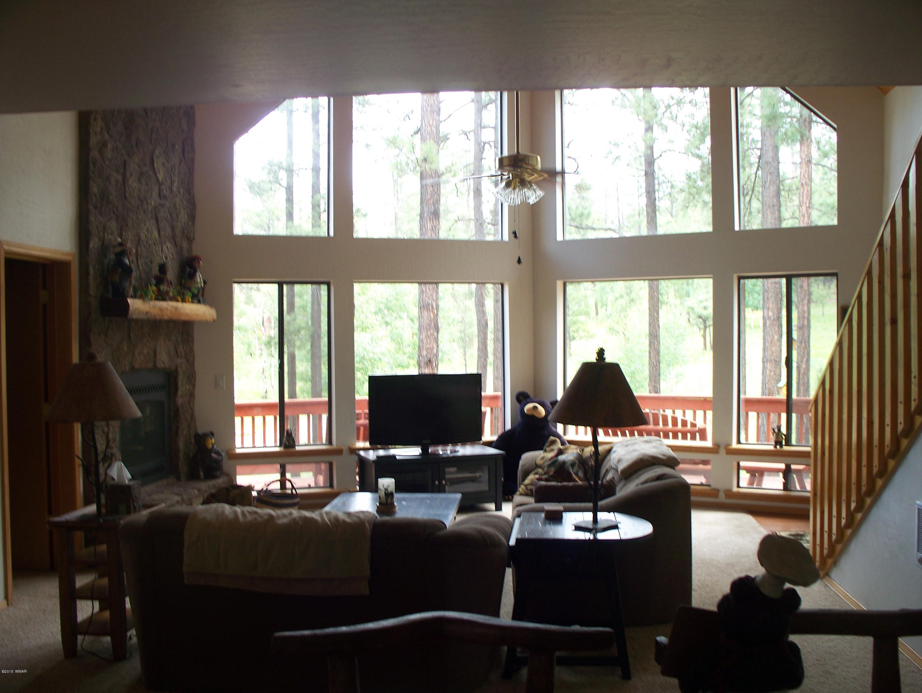 Lot 2 County Road Greer, AZ 85927 - Photo 2 of 13