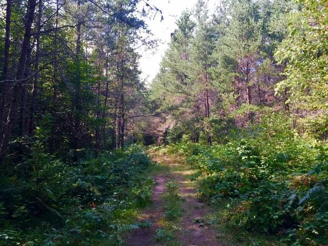 3251 Hay Meadow Road Rhinelander, WI 54501 - Photo 15 of 16 Gallery Image 15