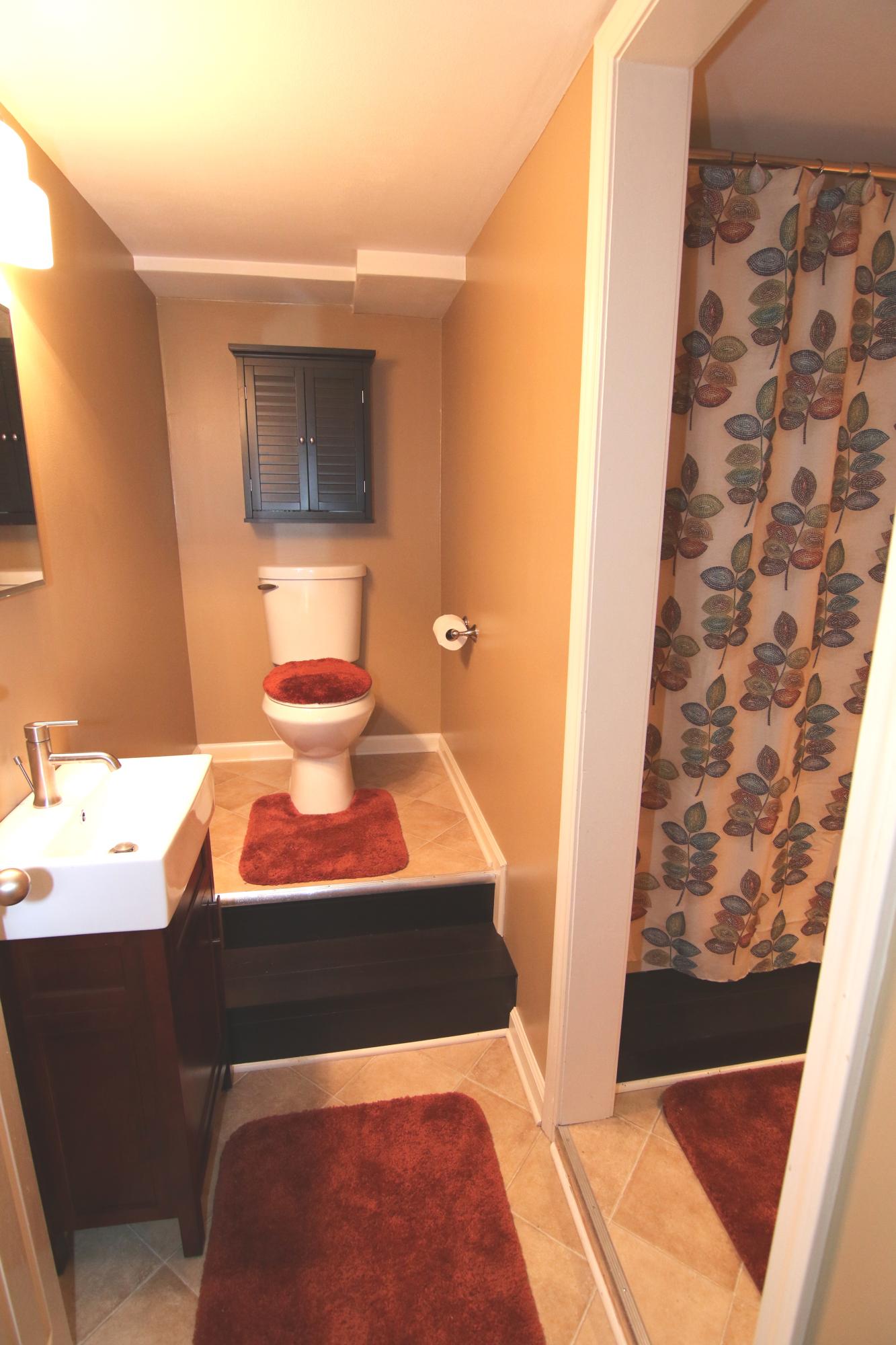 213 Green Road Knoxville, TN 37920 - Photo 19 of 33 Down Bath A