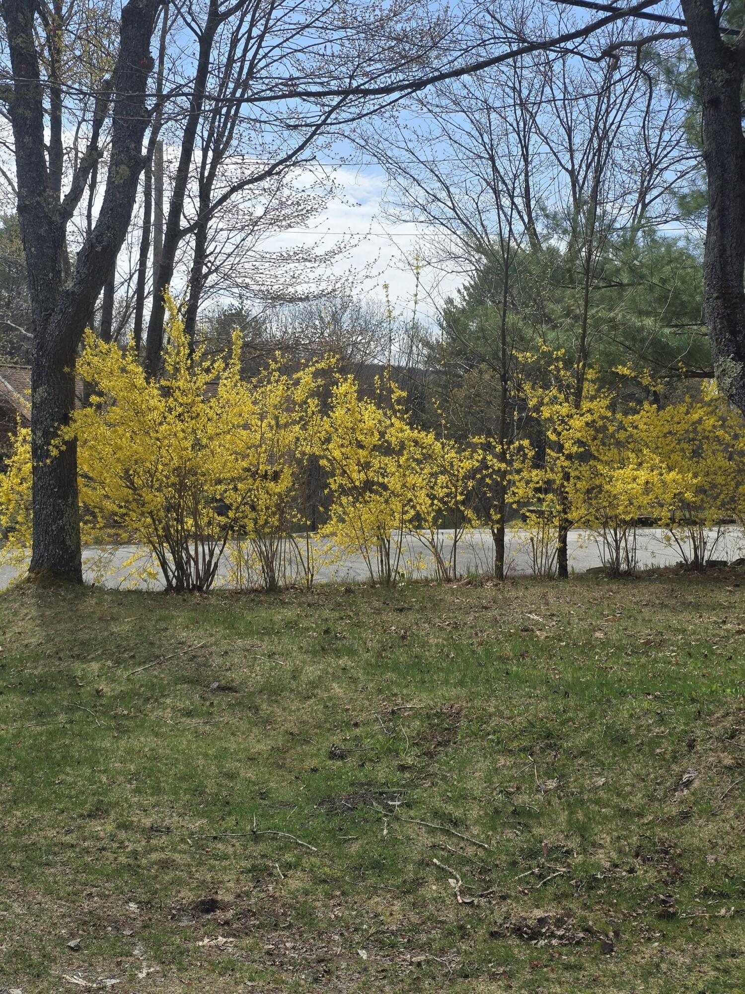 341 East Road Wales, ME 04280 - Photo 31 of 49 Barry 3