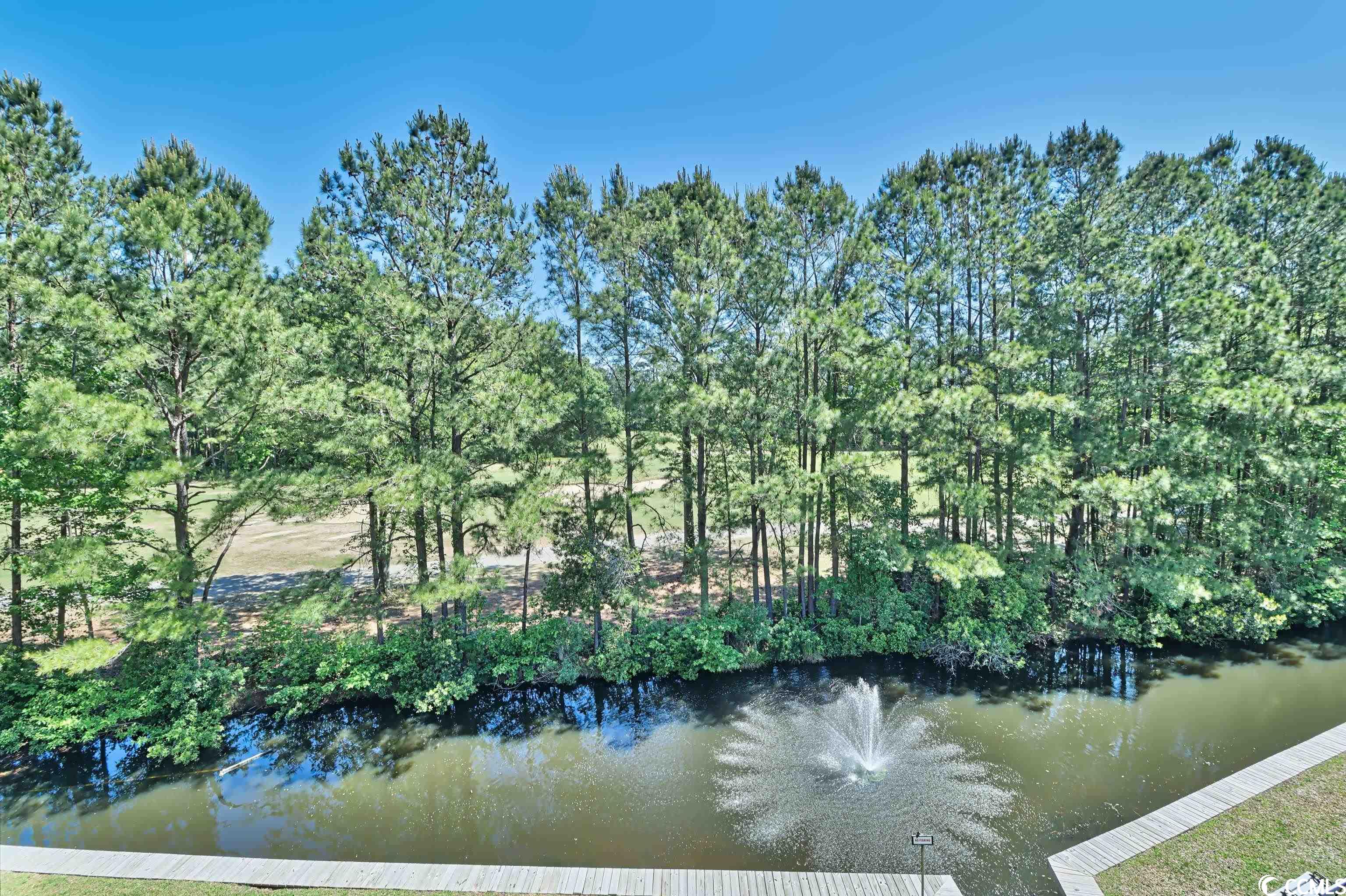 703 Shearwater Court, Unit 305 Murrells Inlet, SC 29576 - Photo 17 of 40