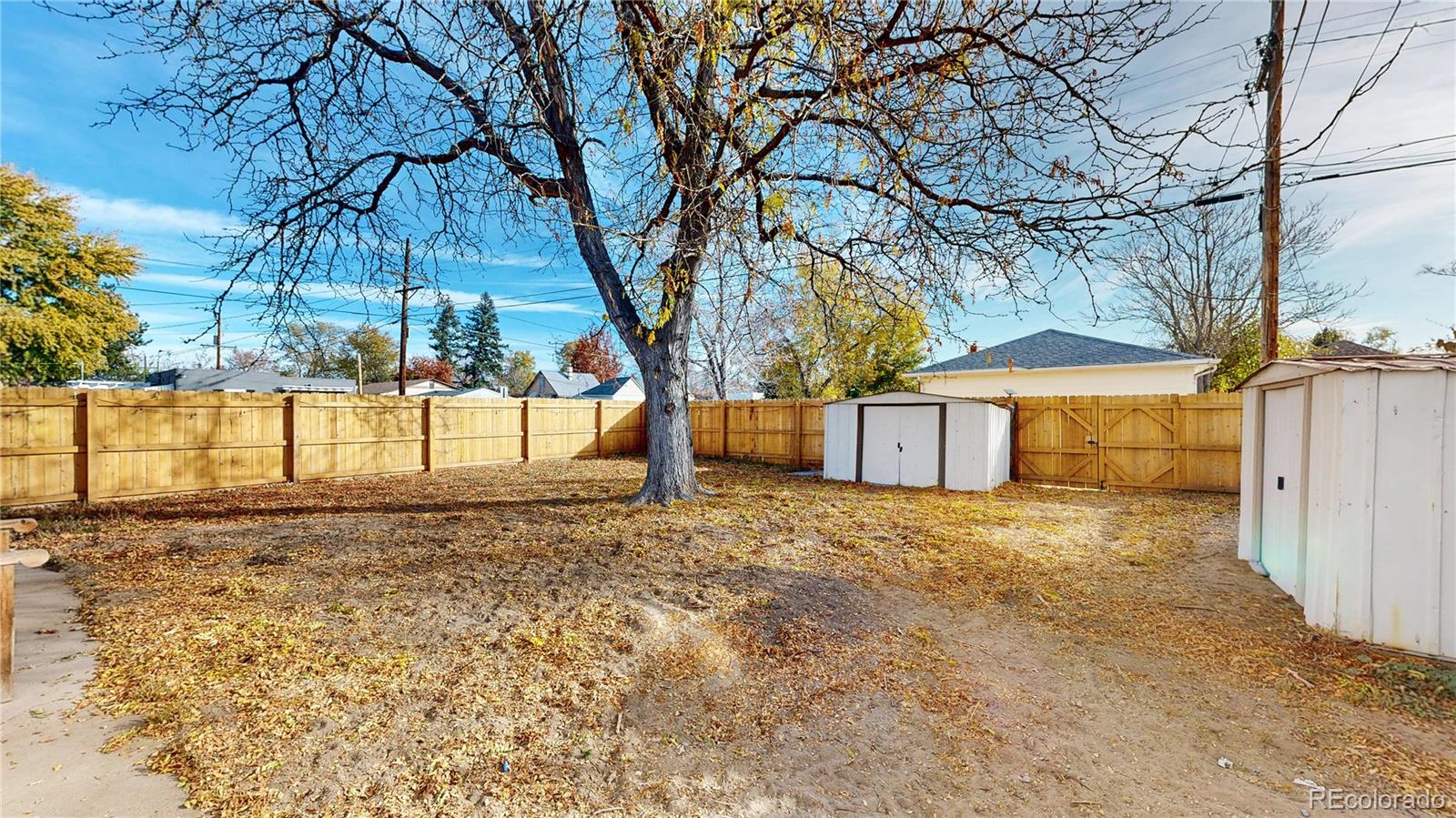 4890 Irving Street Denver, CO 80221 - Photo 30 of 35 a view of a yard with a large tree