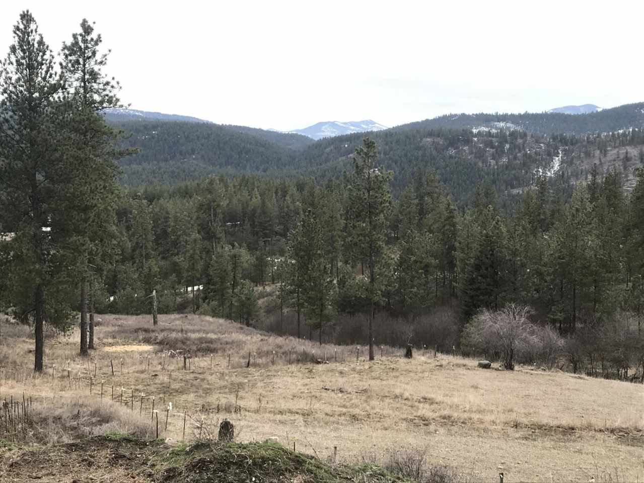 865 Mahoney Road Colville, WA 99114 - Photo 4 of 20