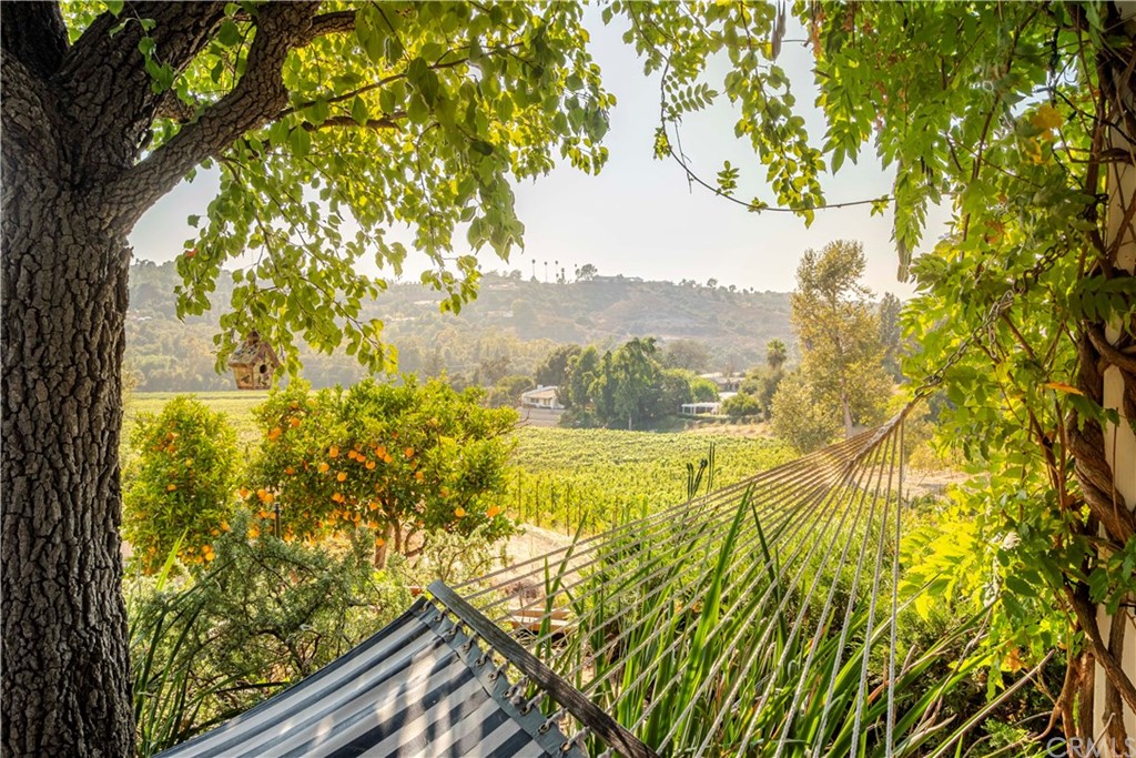 2915 Lakemont Drive Fallbrook, CA 92028 - Photo 43 of 56 a view of lake view and mountain view