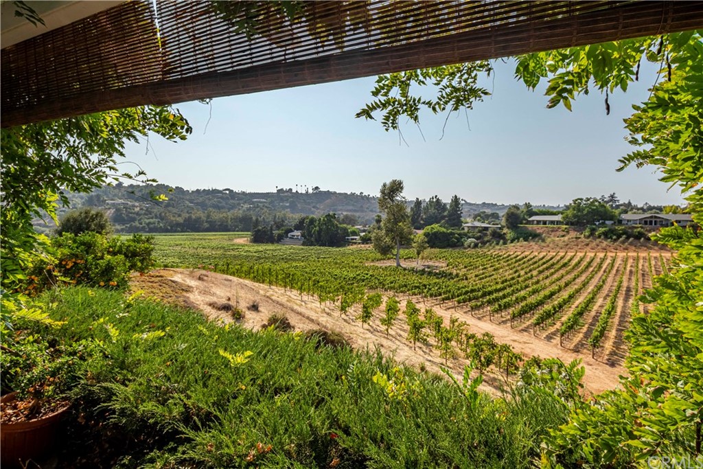 2915 Lakemont Drive Fallbrook, CA 92028 - Photo 45 of 56 a view of a swimming pool with a yard