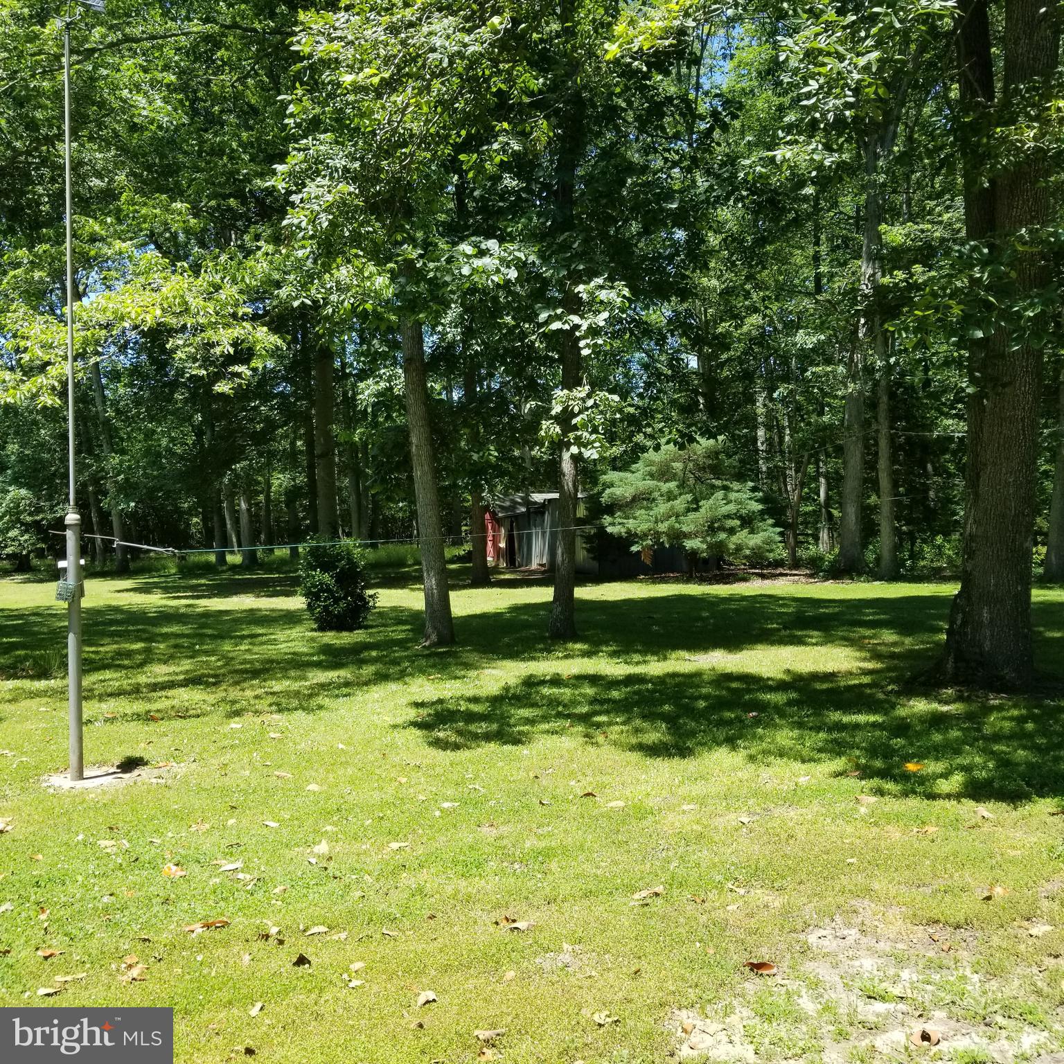 3395 Ingram Branch Road Harrington, DE 19952 - Photo 29 of 34