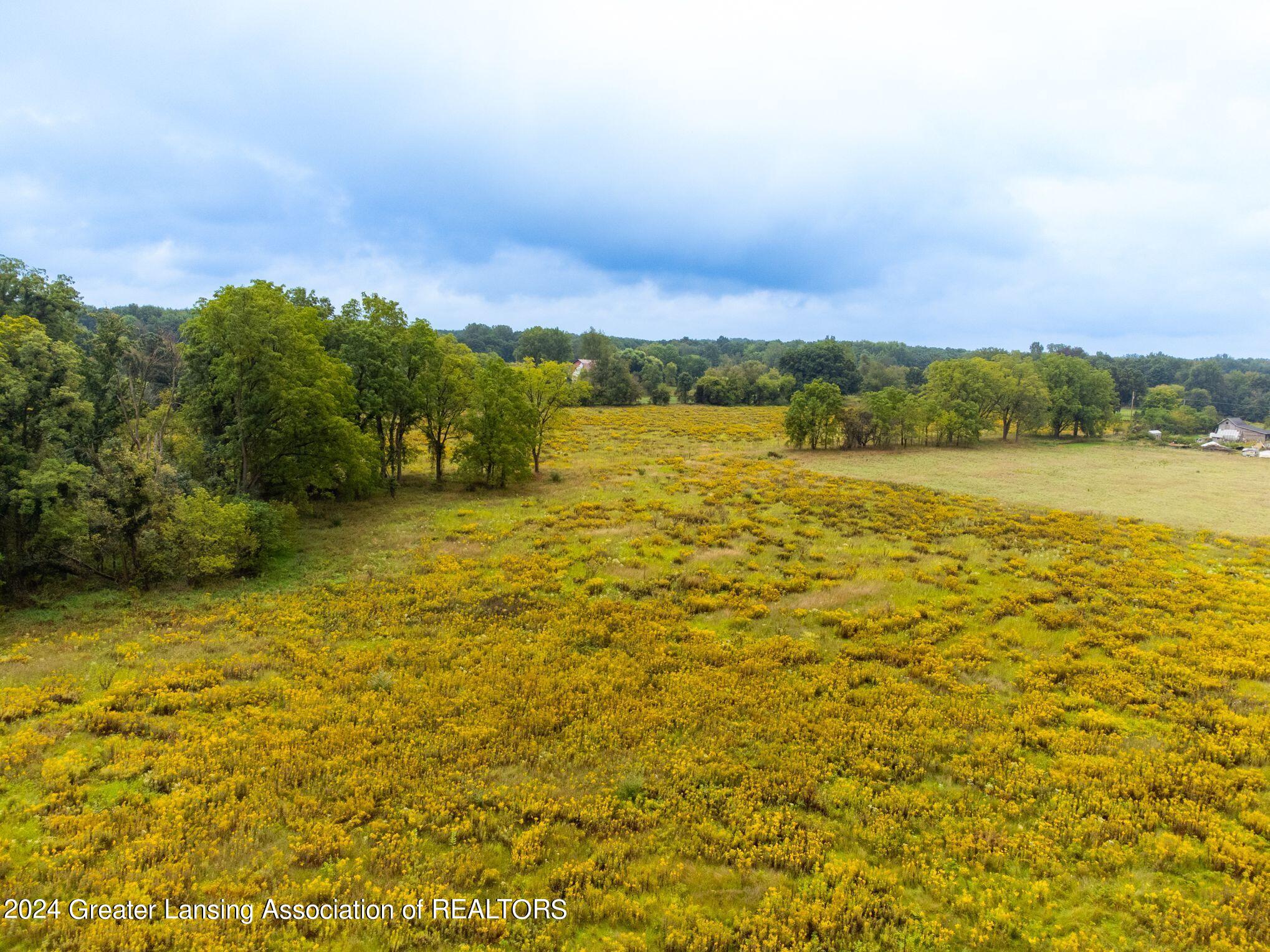 3630 Milner Road Stockbridge, MI 49285 - Photo 15 of 23 Land