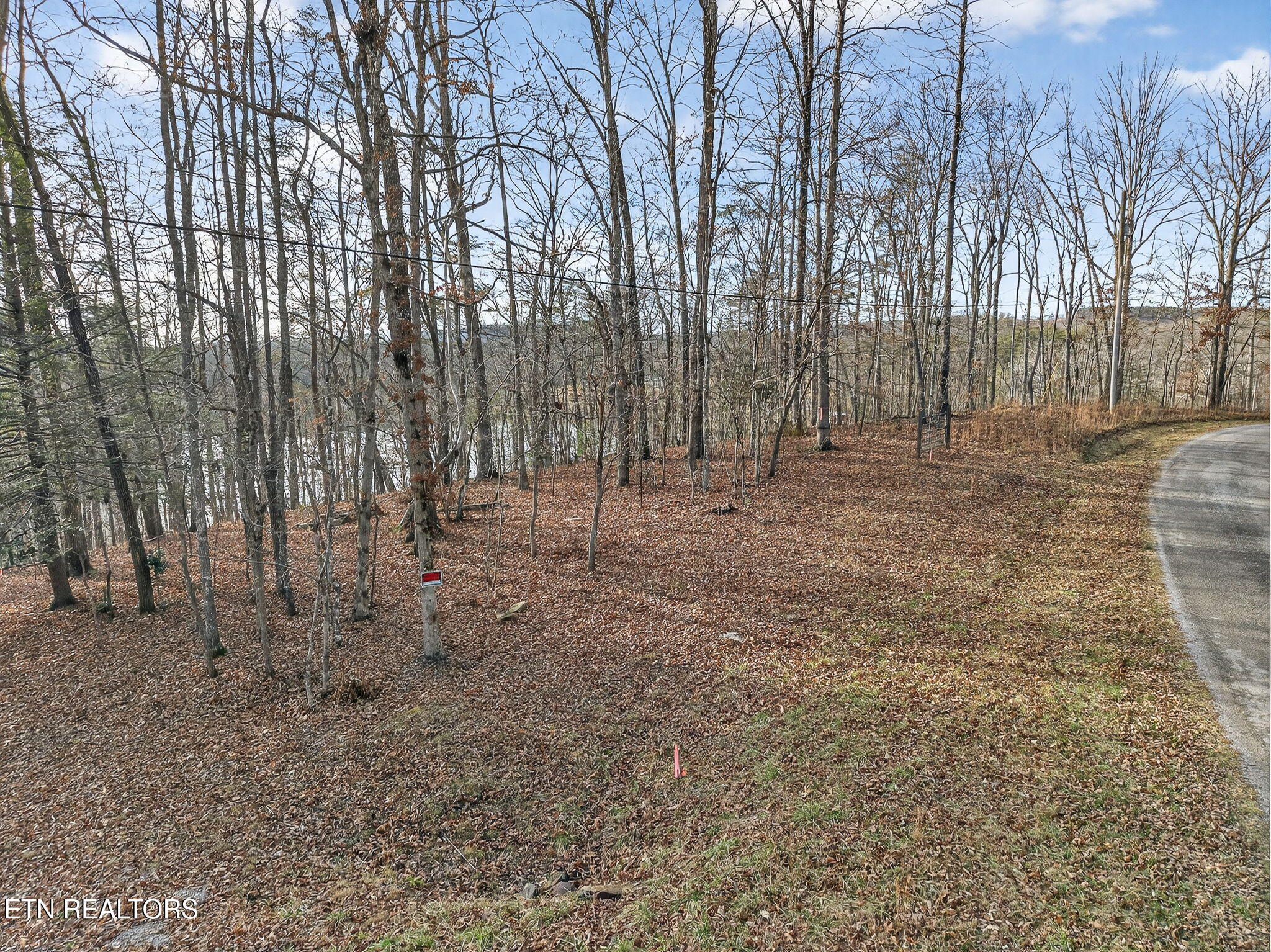 Indian Rock Loop Crossville, TN 38572 - Photo 21 of 24 21-web-or-mls-Indian Rock Loop Lots_021_