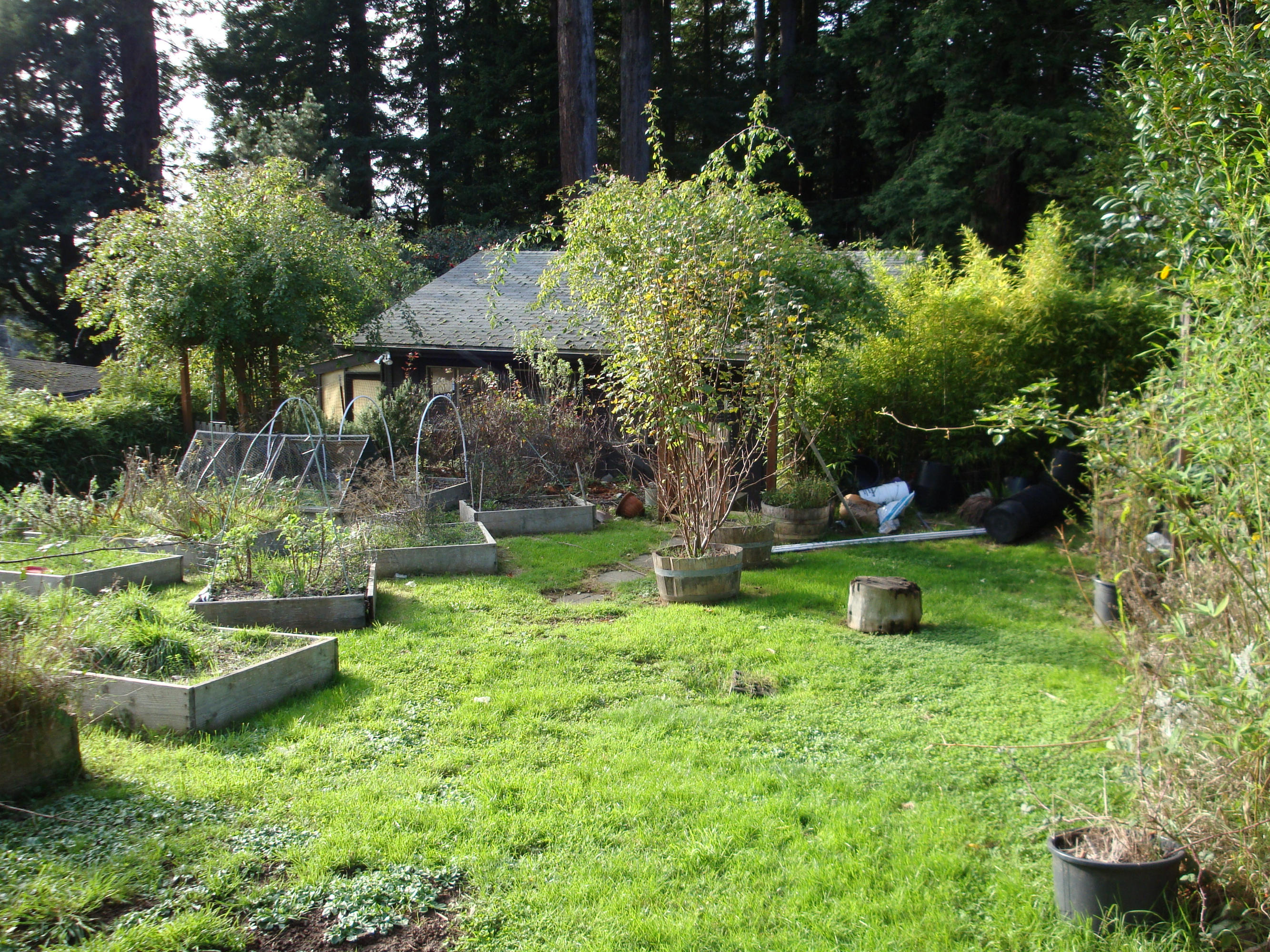 1186 Fickle Hill Road Arcata, CA 95521 - Photo 5 of 23 Gallery Image 5