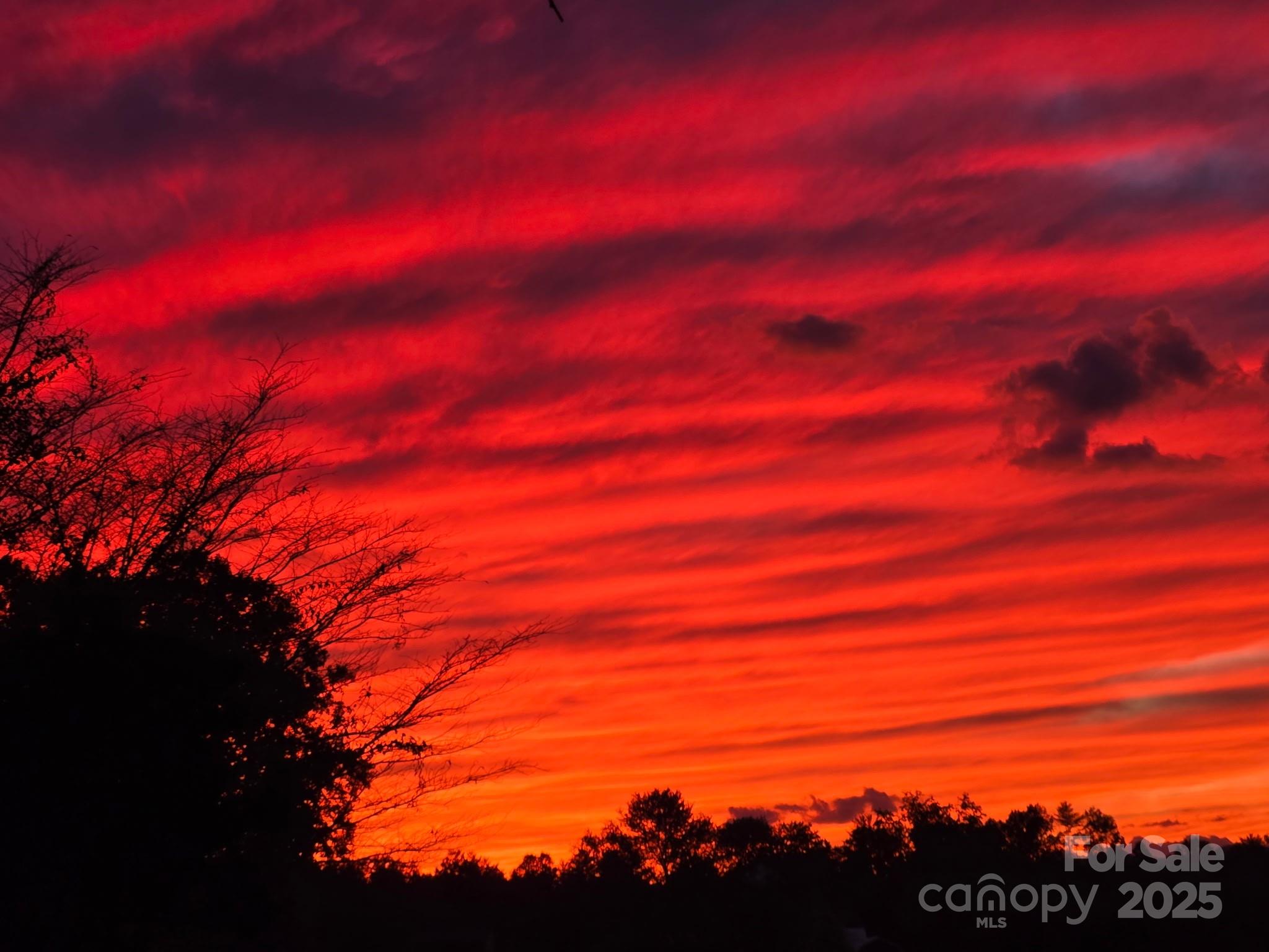 12 Timbers Edge Lane Fairview, NC 28730 - Photo 34 of 35 a view of sunset
