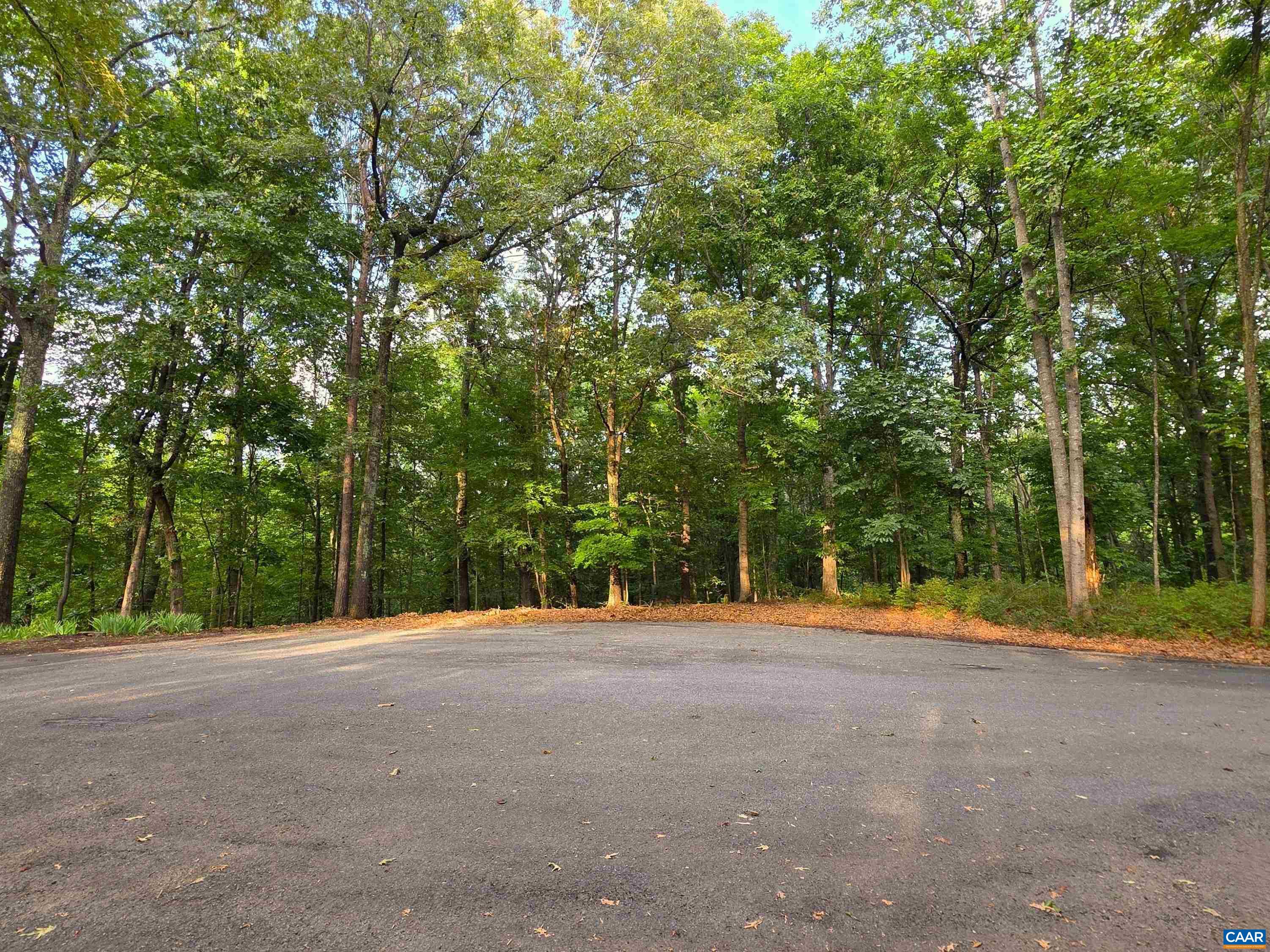 Lot 22 Mountain Laurel Ridge Charlottesville, VA 22903 - Photo 2 of 10 a view of basketball area with trees in the background
