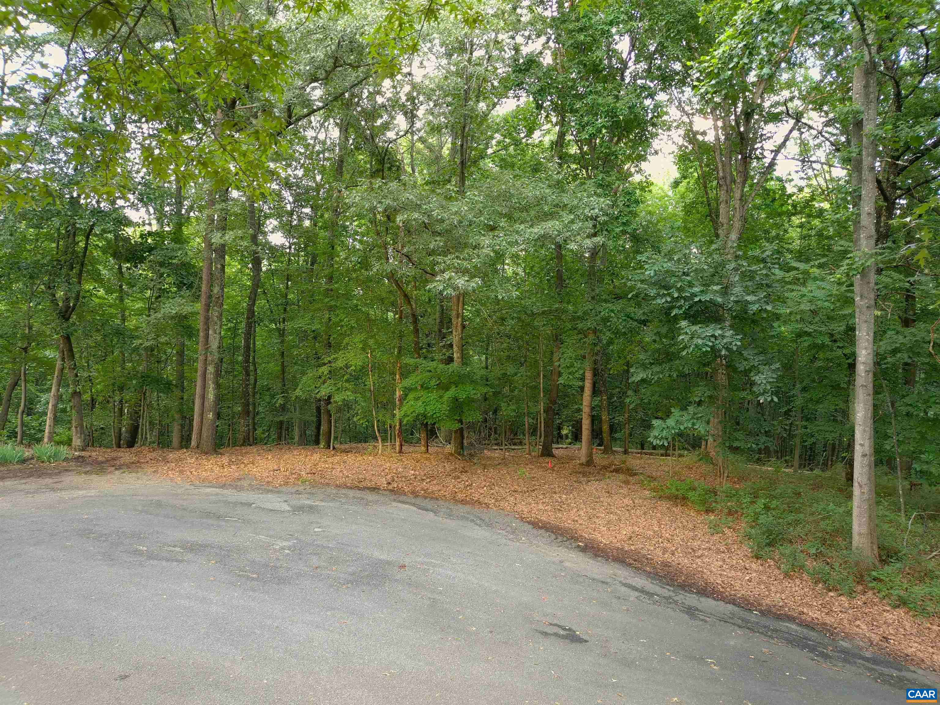 Lot 22 Mountain Laurel Ridge Charlottesville, VA 22903 - Photo 3 of 10 a backyard of a house with large trees