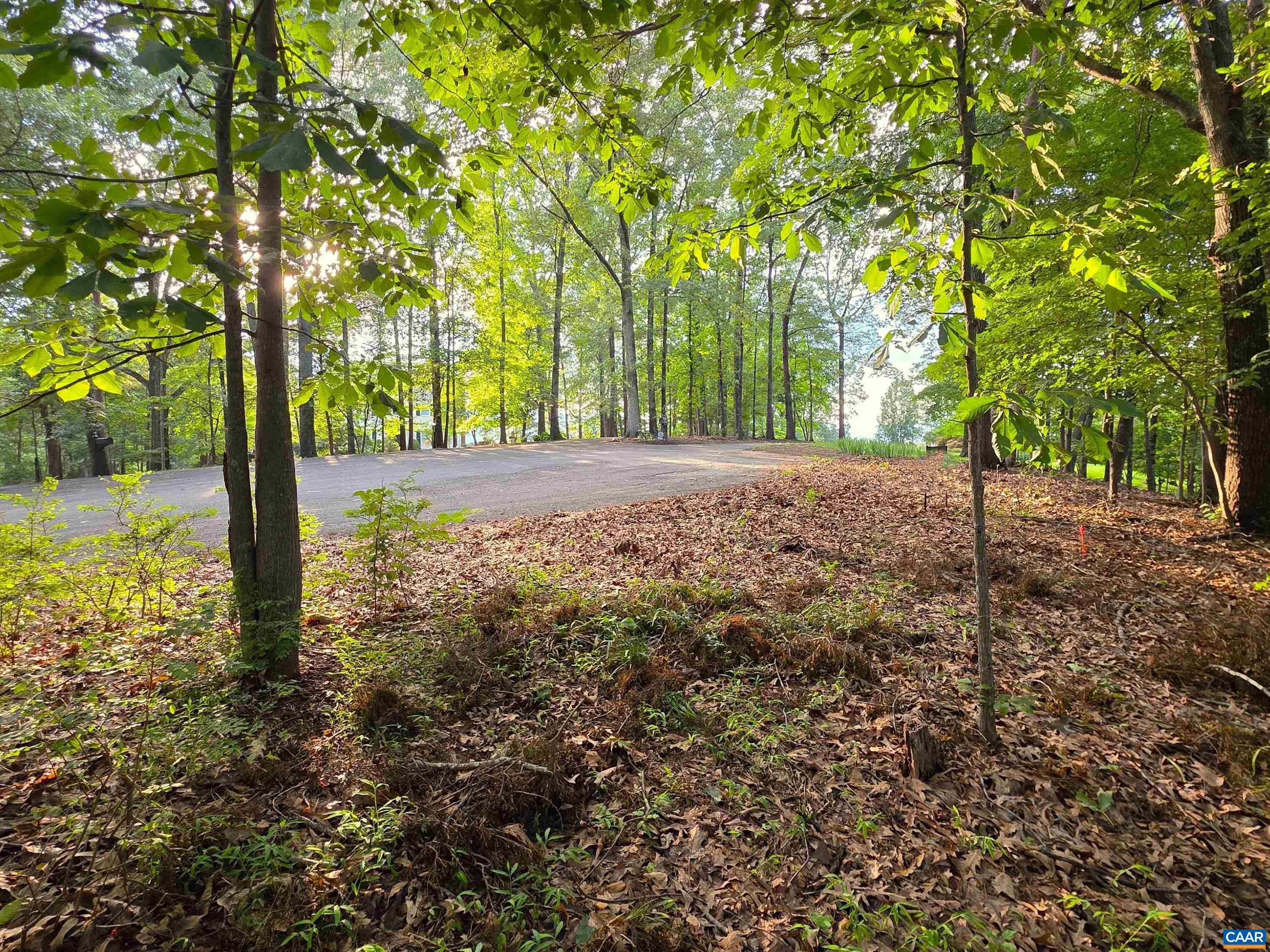 Lot 22 Mountain Laurel Ridge Charlottesville, VA 22903 - Photo 7 of 10 a view of a yard with trees