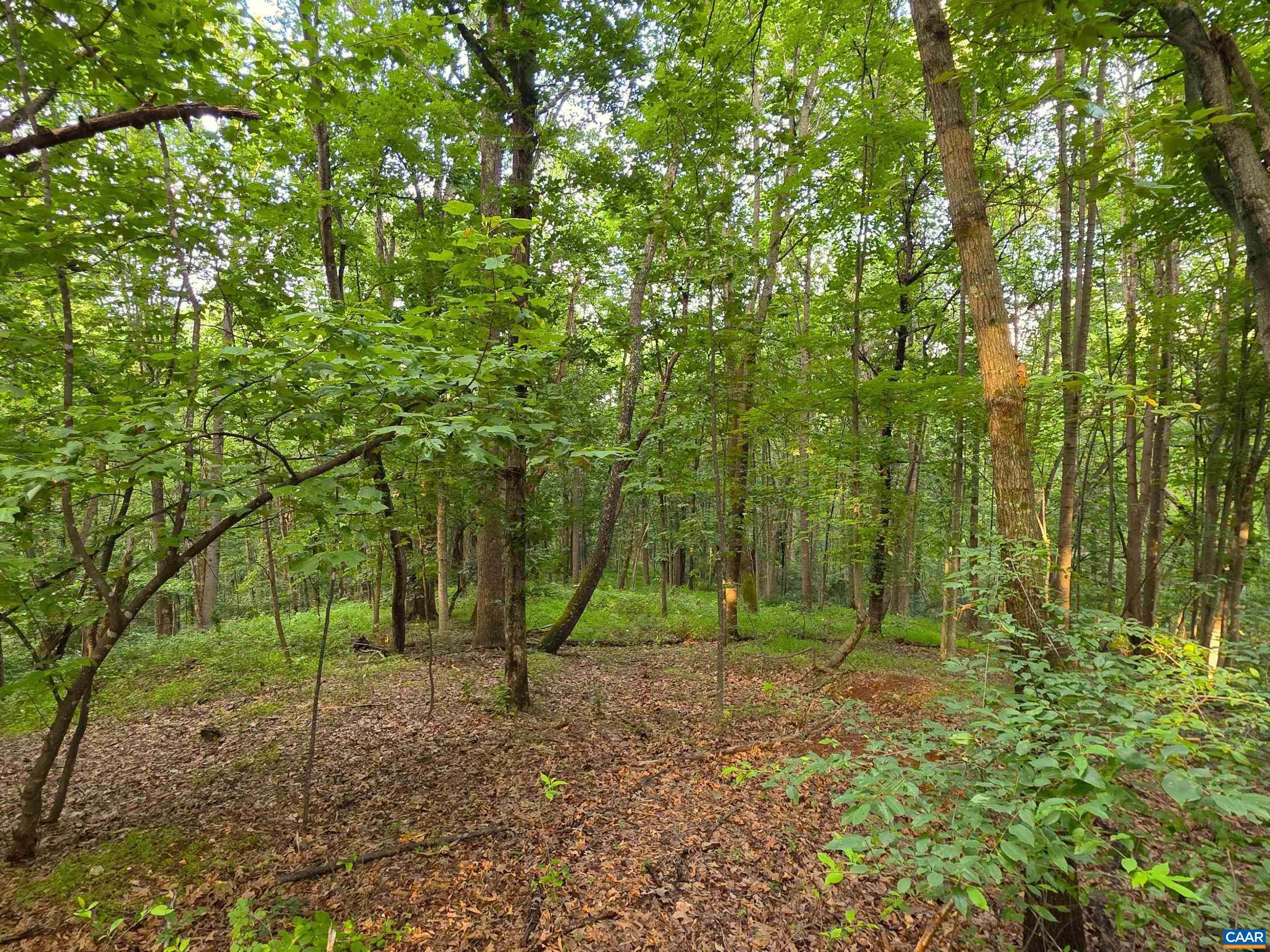 Lot 22 Mountain Laurel Ridge Charlottesville, VA 22903 - Photo 8 of 10 a backyard of a house with lots of green space