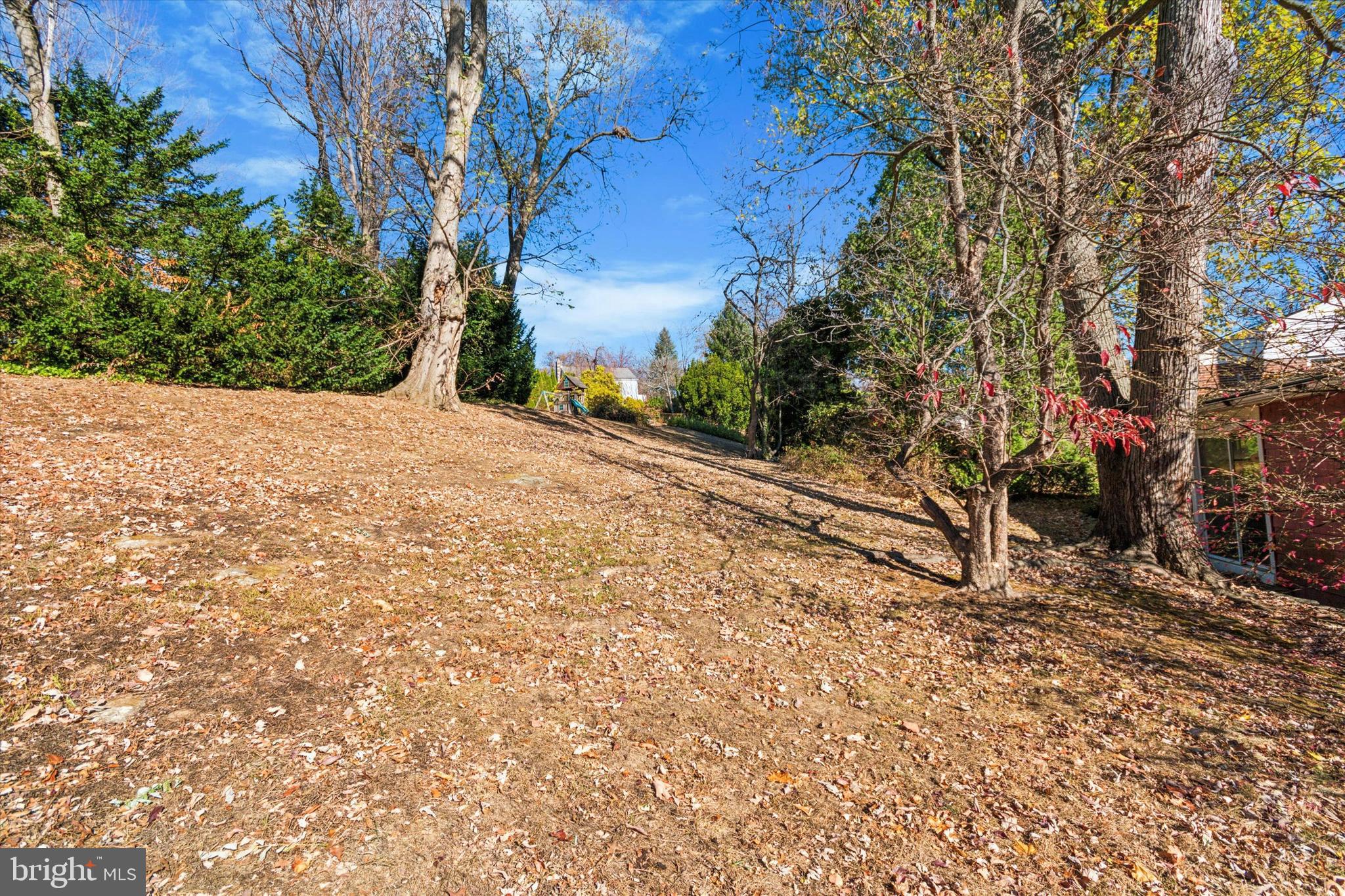 864 Beechwood Road Havertown, PA 19083 - Photo 28 of 28 Back Yard