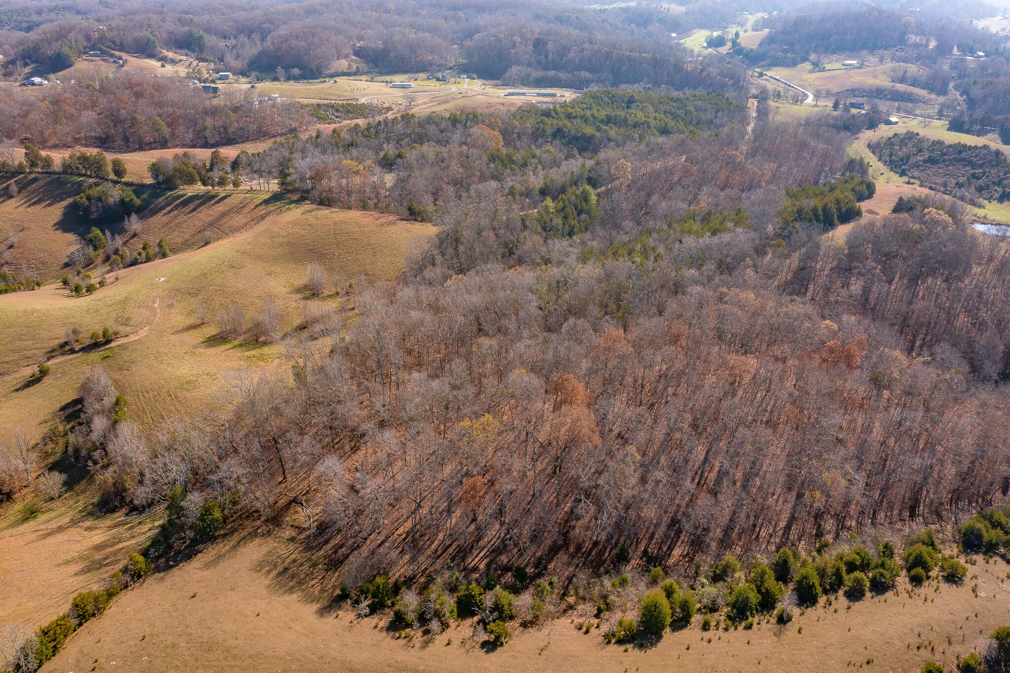 65 Doc Hawkins Road Greeneville, TN 37745 - Photo 21 of 50 65 Doc Hawkins Rd (4 of 50)