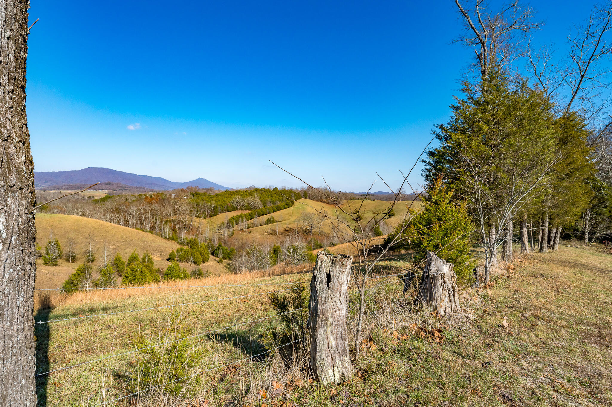 65 Doc Hawkins Road Greeneville, TN 37745 - Photo 3 of 50 02