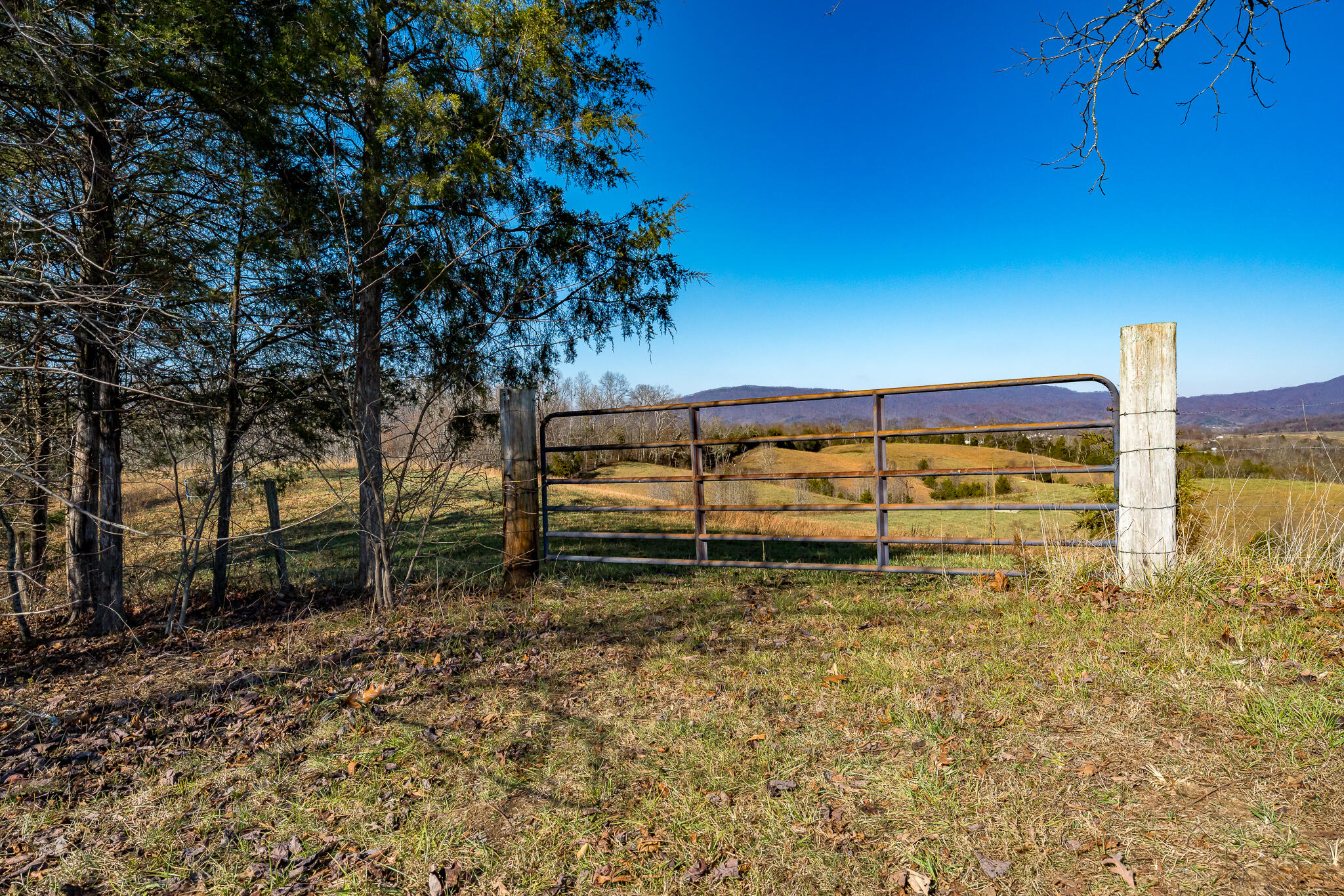 65 Doc Hawkins Road Greeneville, TN 37745 - Photo 5 of 50 04