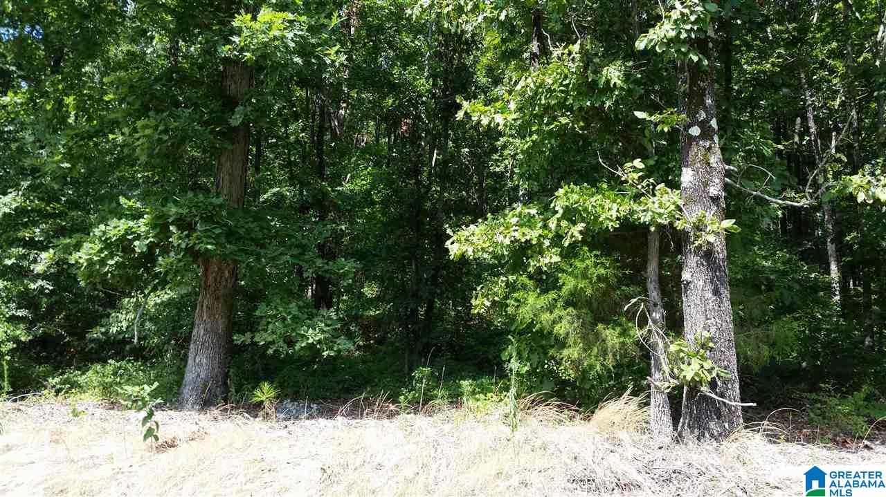 1885 Brooks Lake Road Lincoln, AL 35096 - Photo 9 of 30