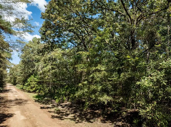 $8,179 | 0 Daffodil Lane, Mount Vernon, TX 75457