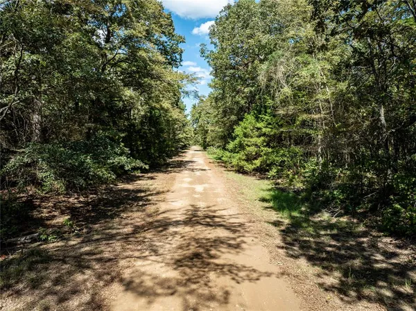 $8,179 | 0 Daffodil Lane, Mount Vernon, TX 75457