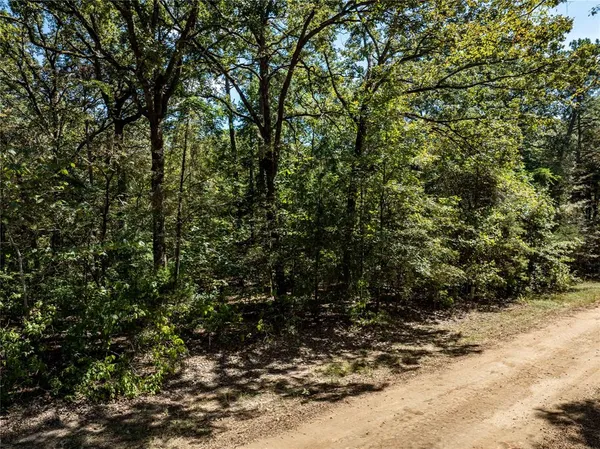 $8,179 | 0 Daffodil Lane, Mount Vernon, TX 75457