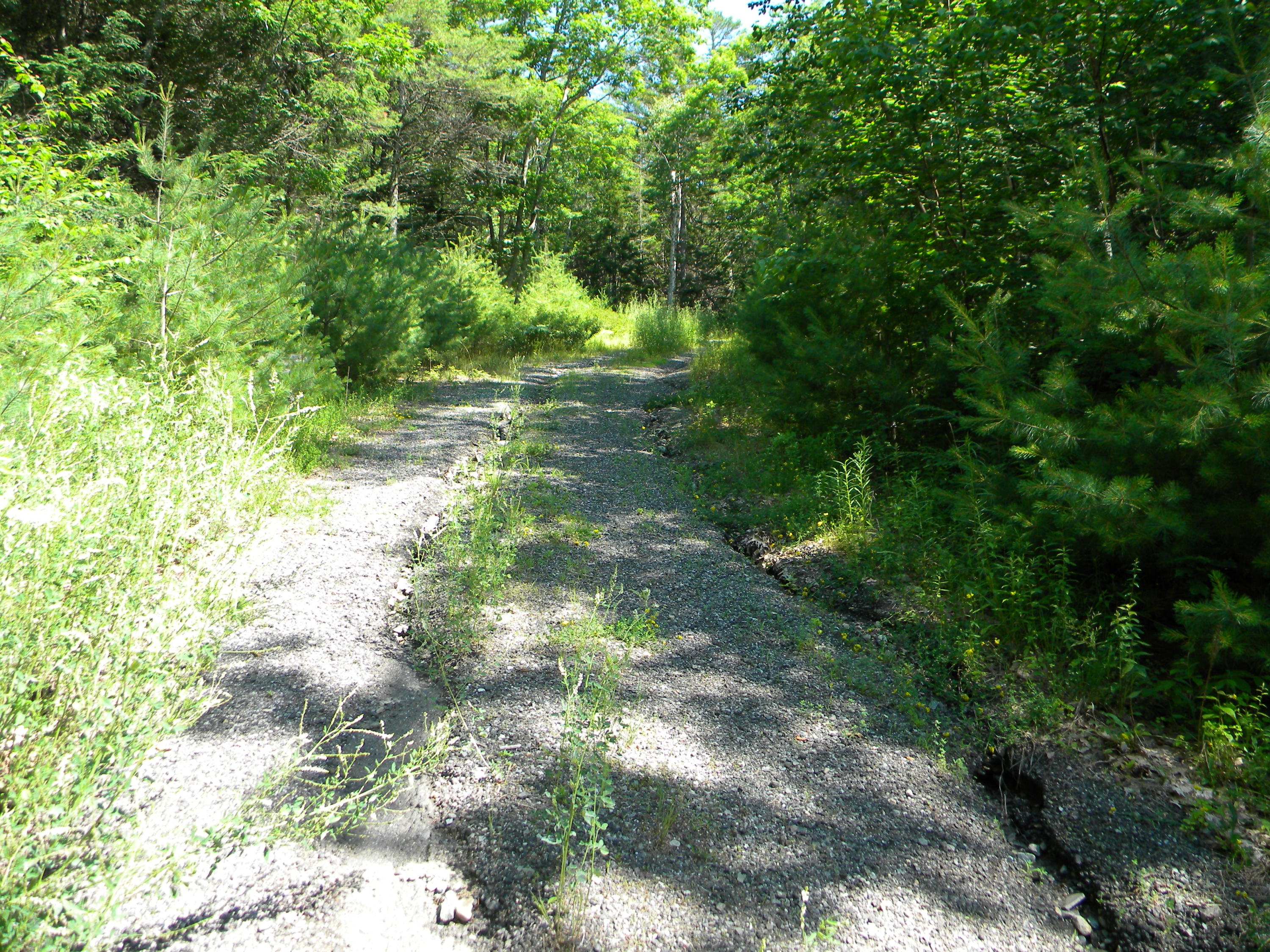 0 Chappell Hill Road Woolwich, ME 04579 - Photo 4 of 4 DSCN4389