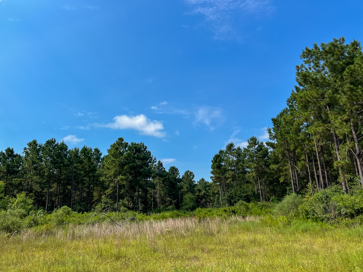4 County Road 1325 Warren, TX 77664 - Photo 8 of 10 a view of a lake
