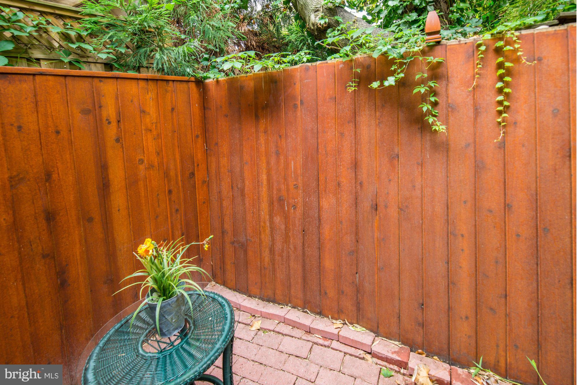 7 Pomander Walk Northwest Washington, DC 20007 - Photo 13 of 23 a potted plant sitting in front of a wooden fence