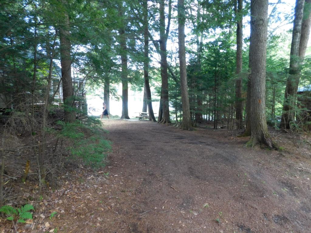 60 Lower Curtis Pond Road Calais, VT 05648 - Photo 19 of 23 Gallery Image 19