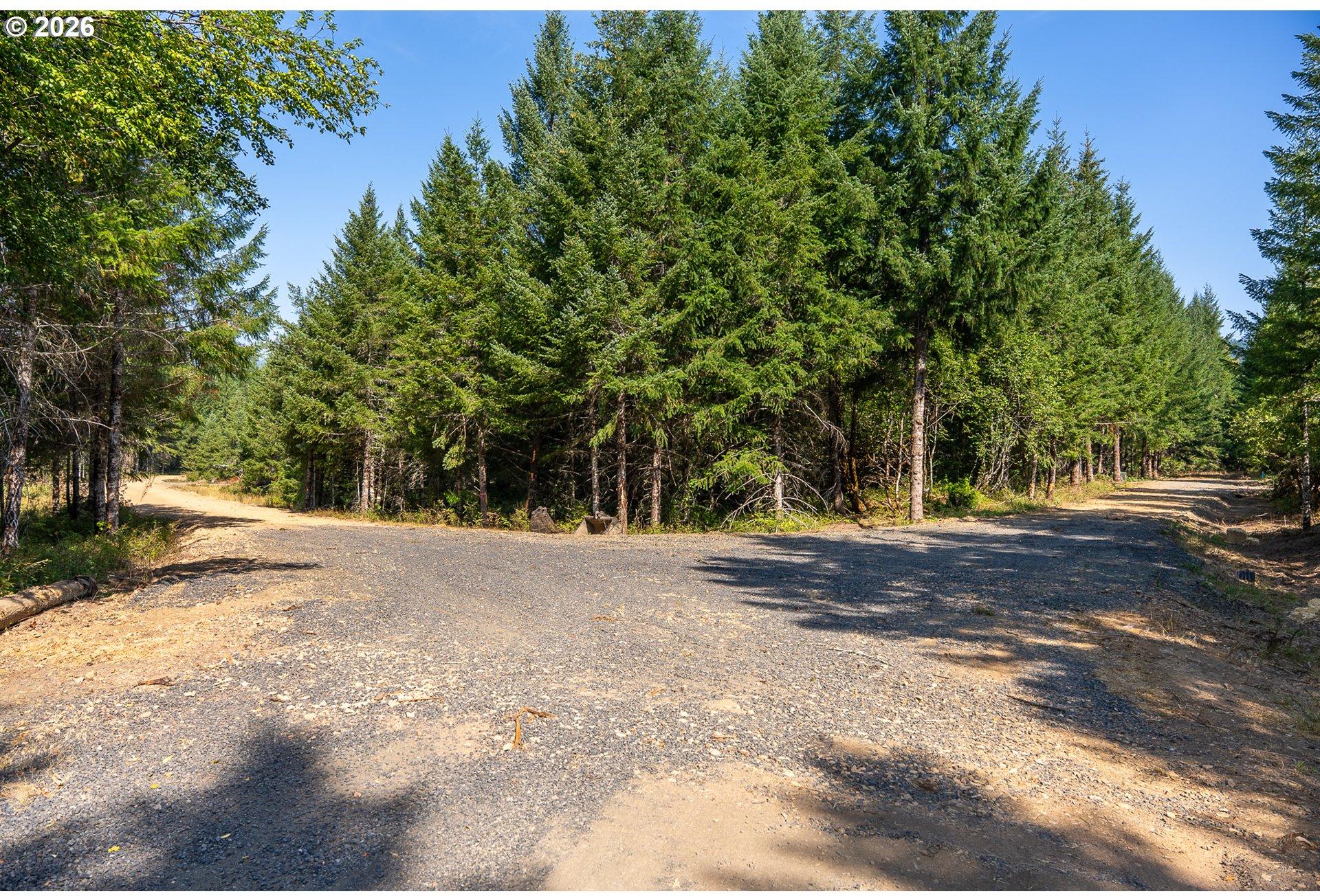 Hawk Meadows Road, Unit 2 Carson, WA 98610 - Photo 27 of 38 Gallery Image 27