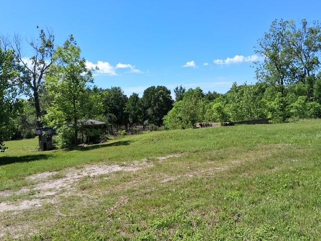 a view of a grassy field with trees in the background