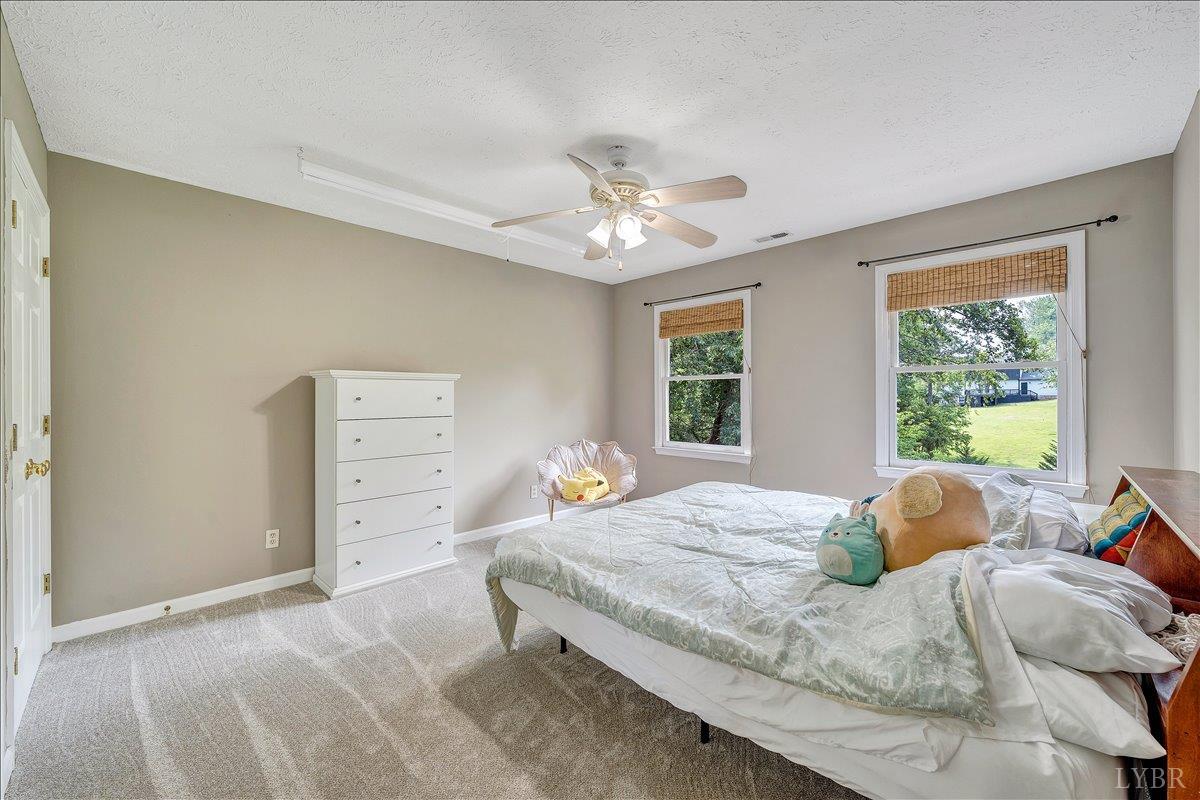 209 Quail Ridge Drive Forest, VA 24551 - Photo 30 of 67