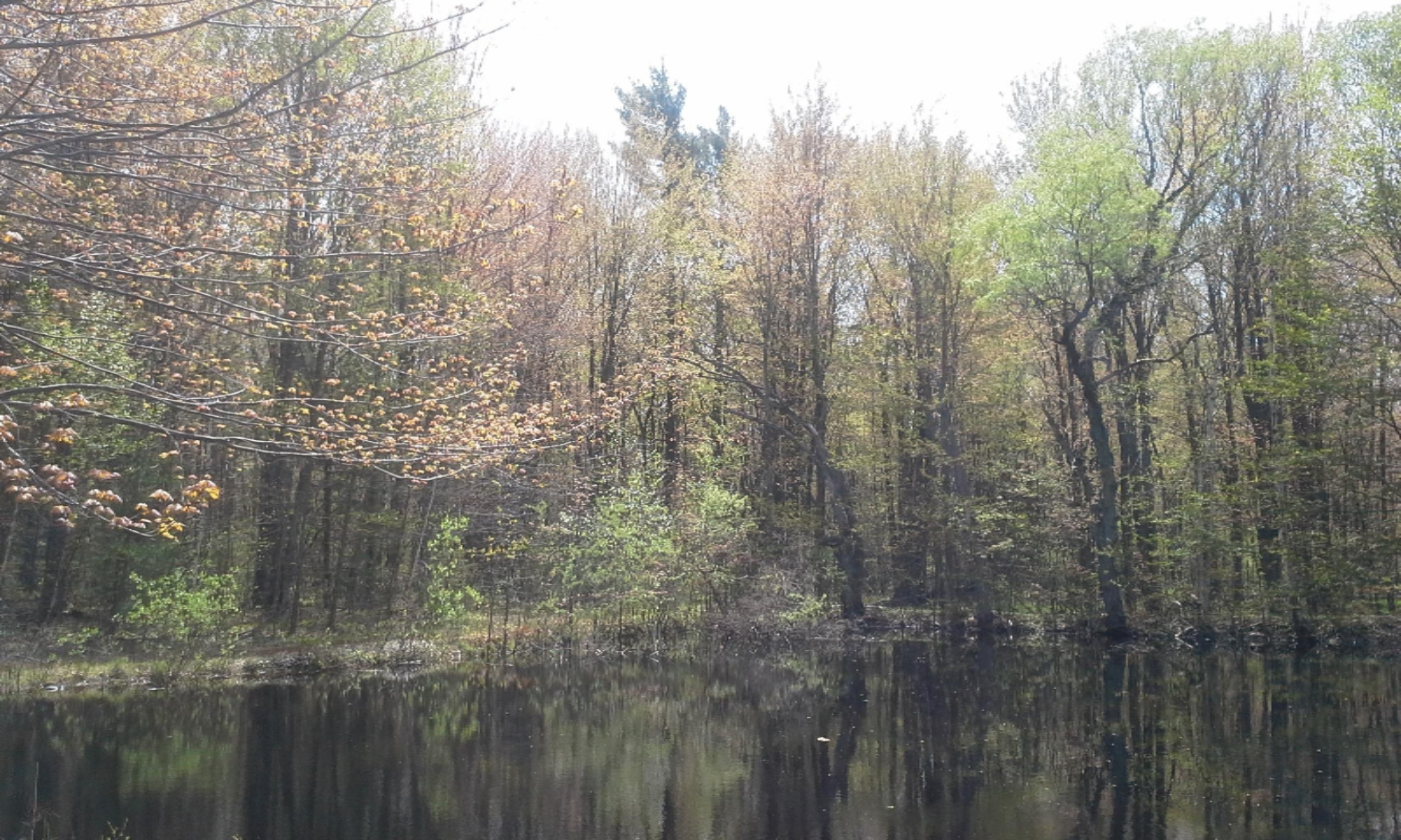 0 East Pontaluna Road Spring Lake, MI 49456 - Photo 11 of 28 20160511_125114