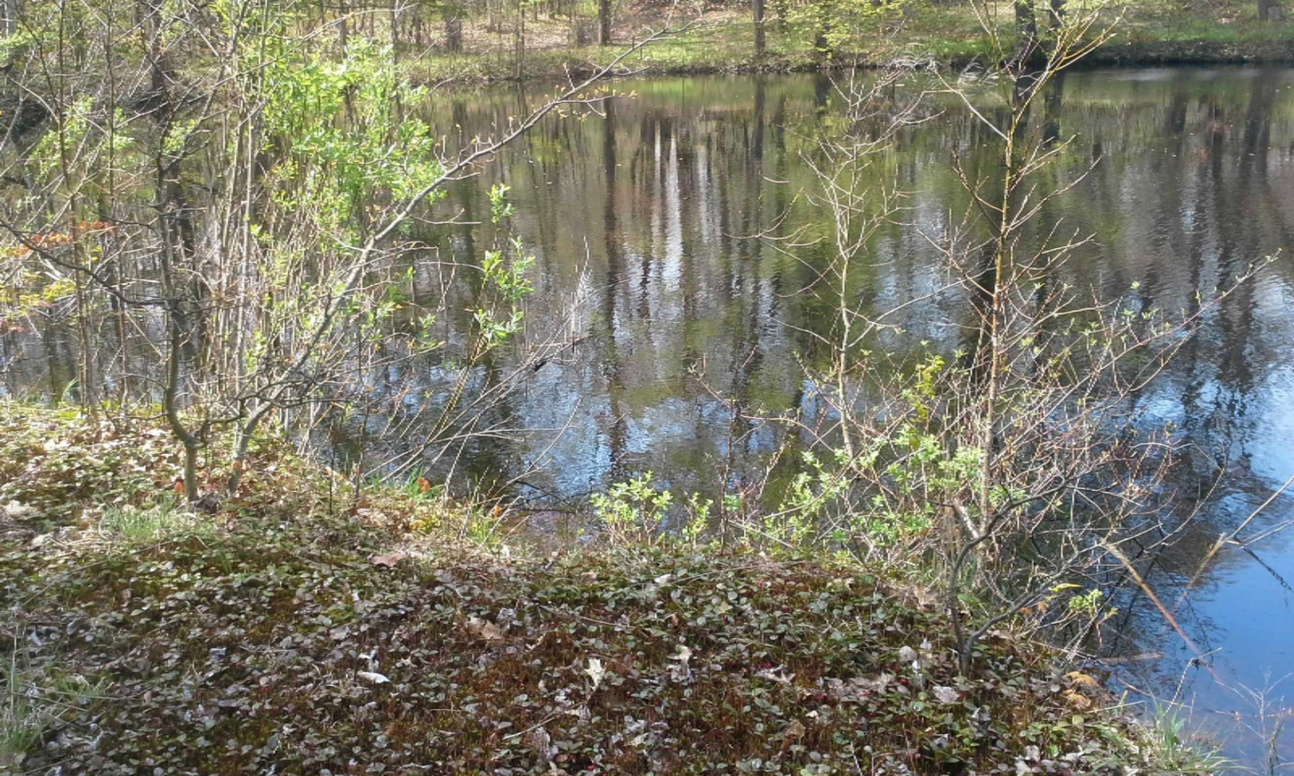 0 East Pontaluna Road Spring Lake, MI 49456 - Photo 12 of 28 20160511_125156