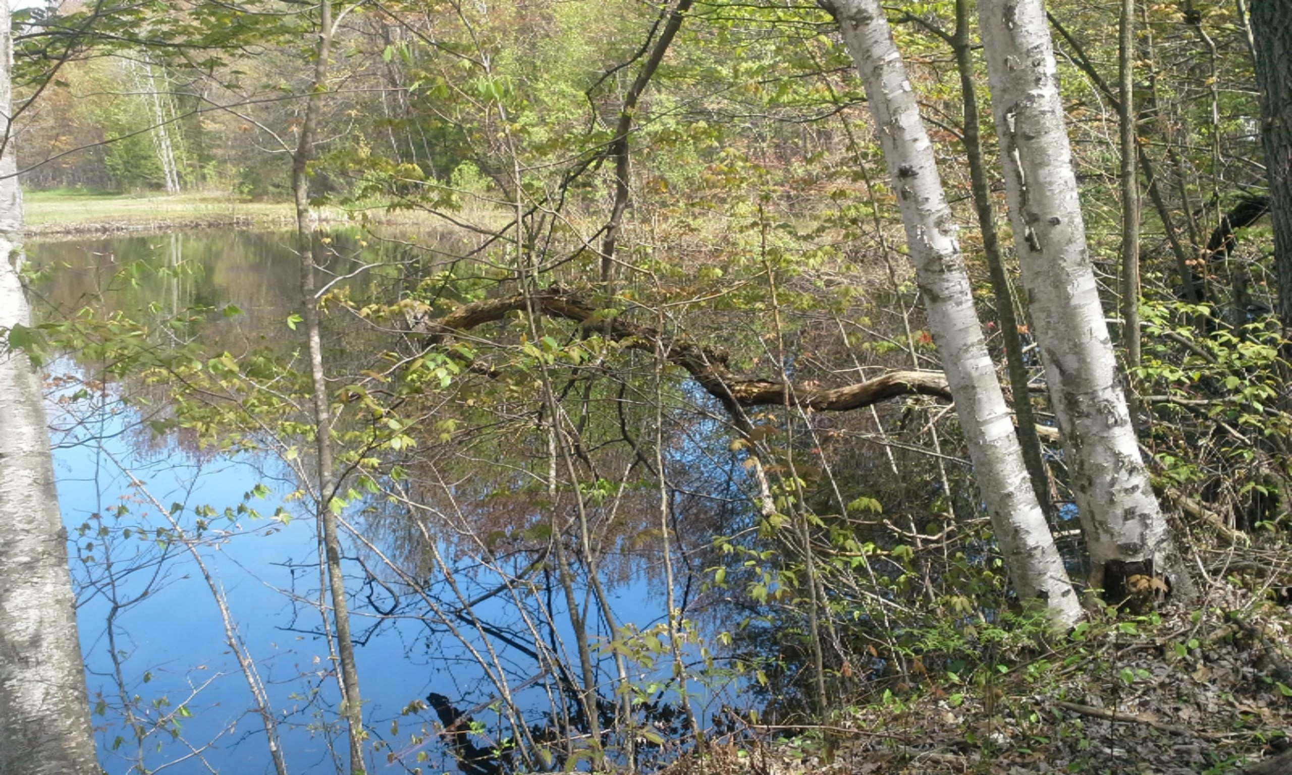 0 East Pontaluna Road Spring Lake, MI 49456 - Photo 13 of 28 20160511_125257