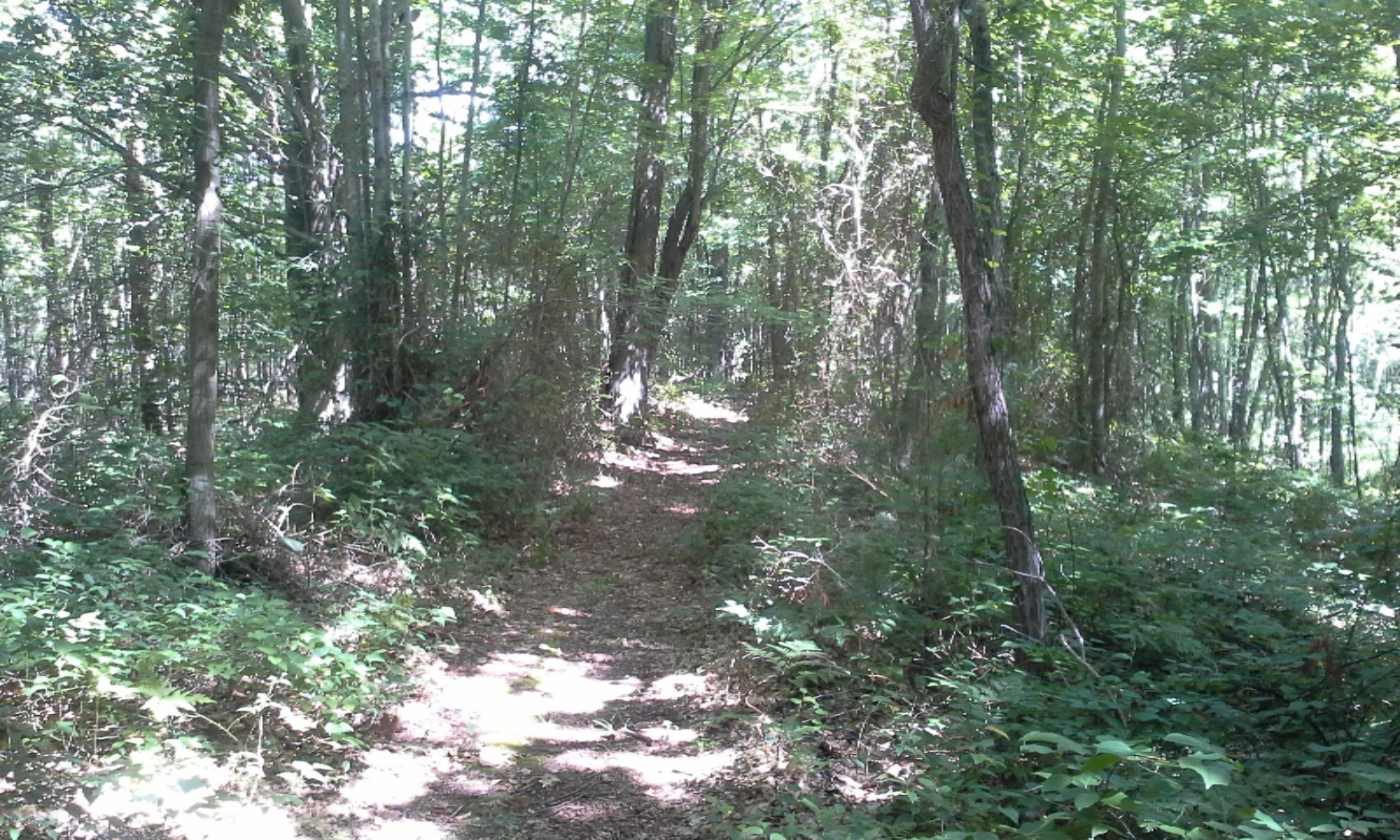 0 East Pontaluna Road Spring Lake, MI 49456 - Photo 25 of 28 082