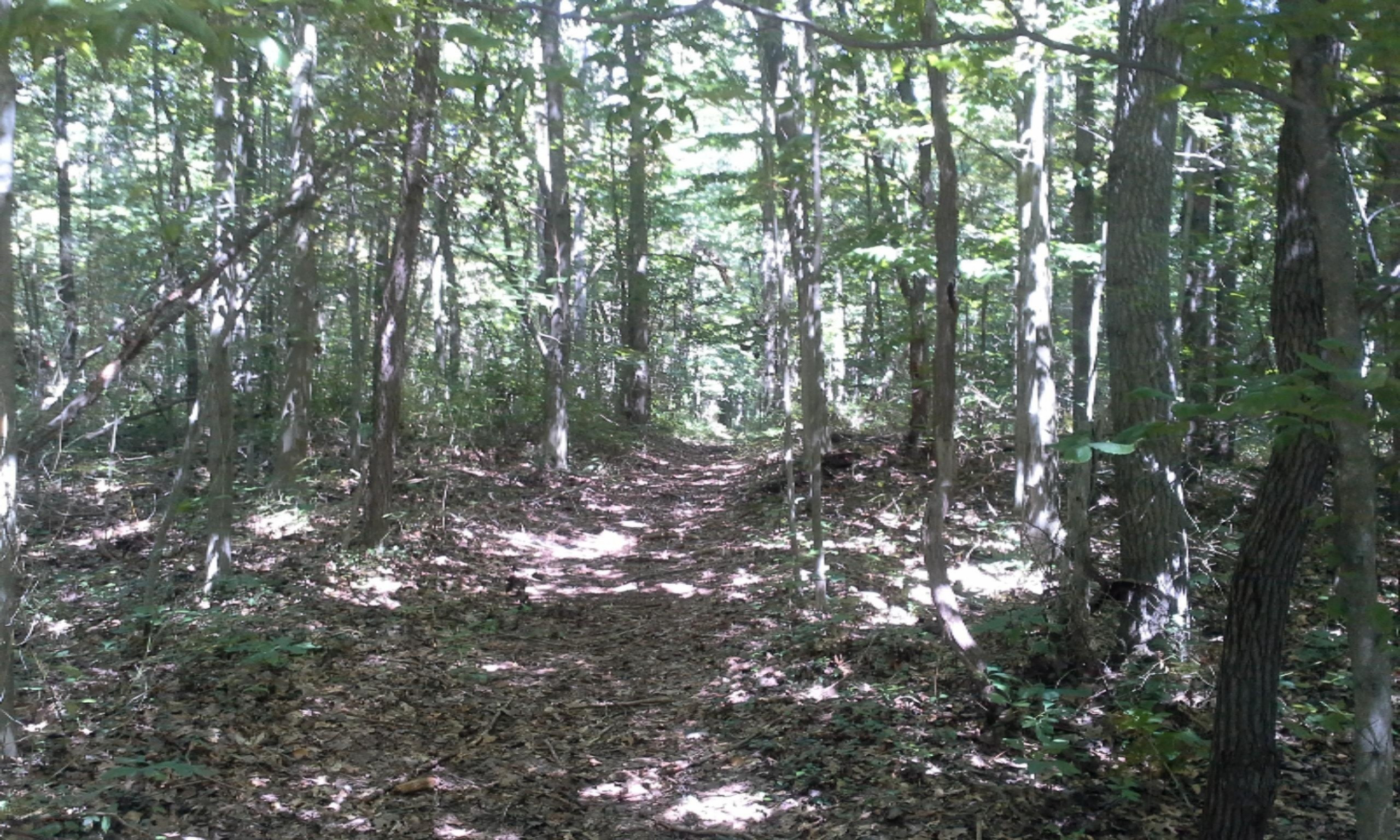 0 East Pontaluna Road Spring Lake, MI 49456 - Photo 27 of 28 084